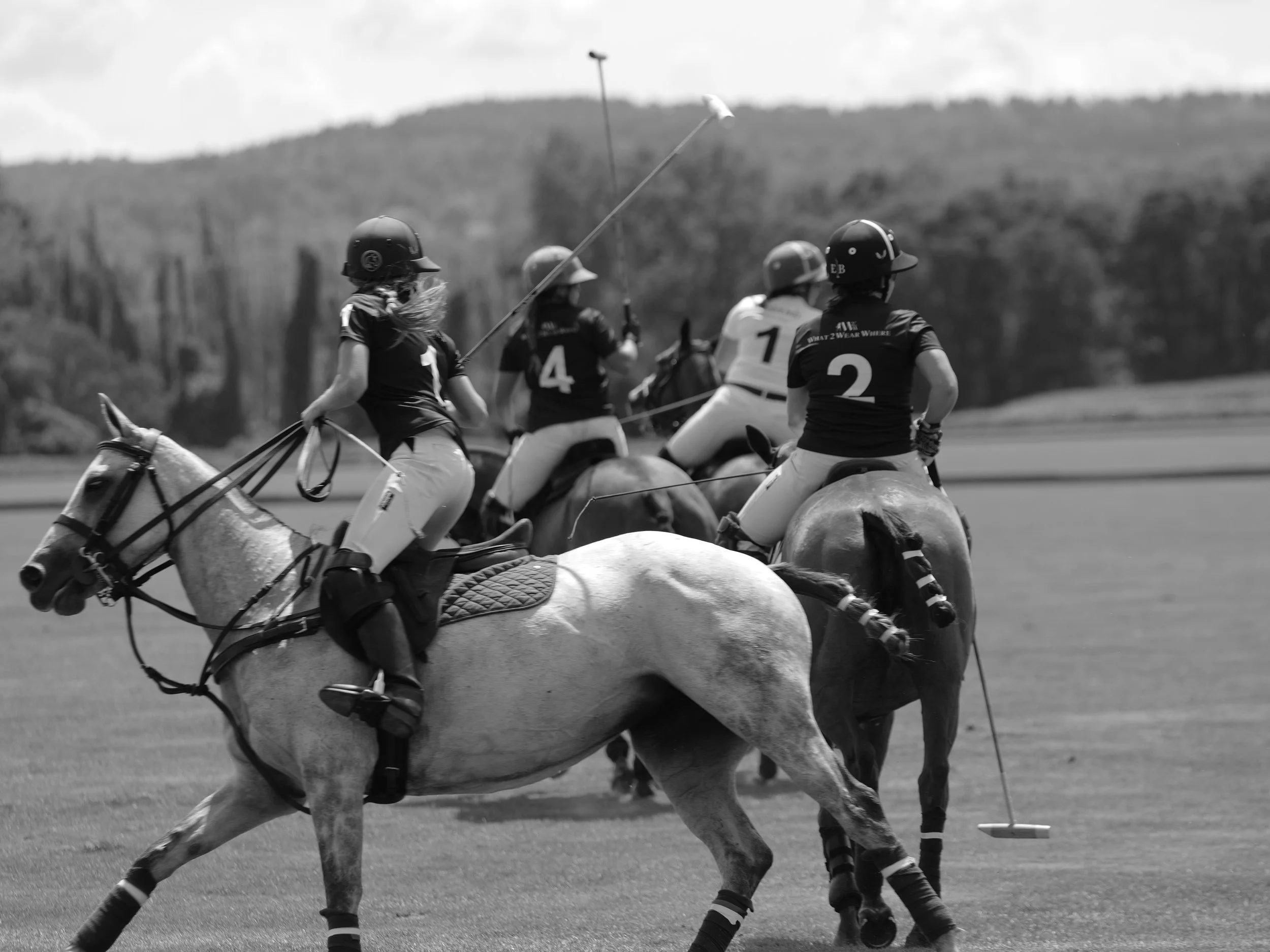 MASH POLO AUG 1-1000582-2.jpg