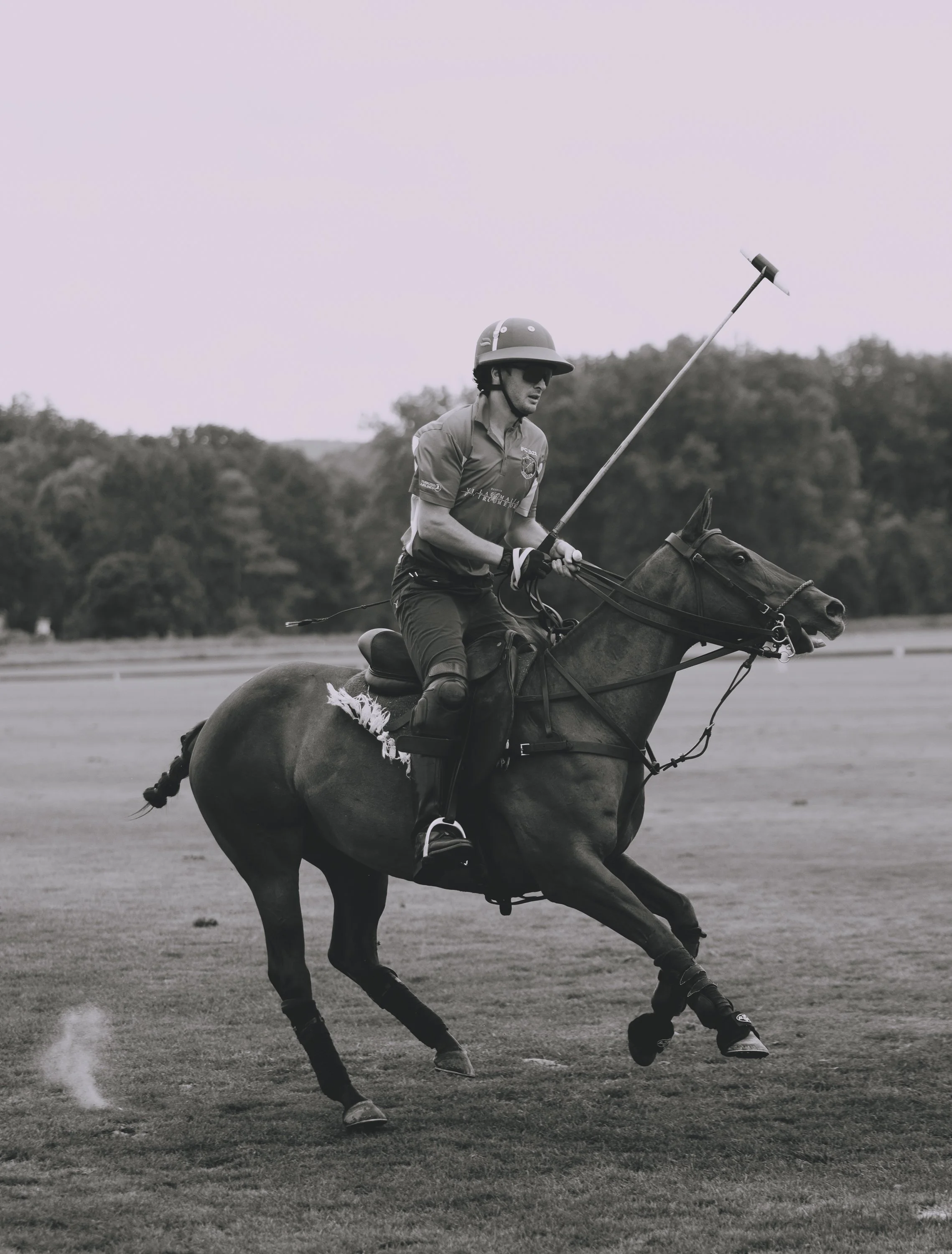 MASH POLO AUG 2-1001736.jpg
