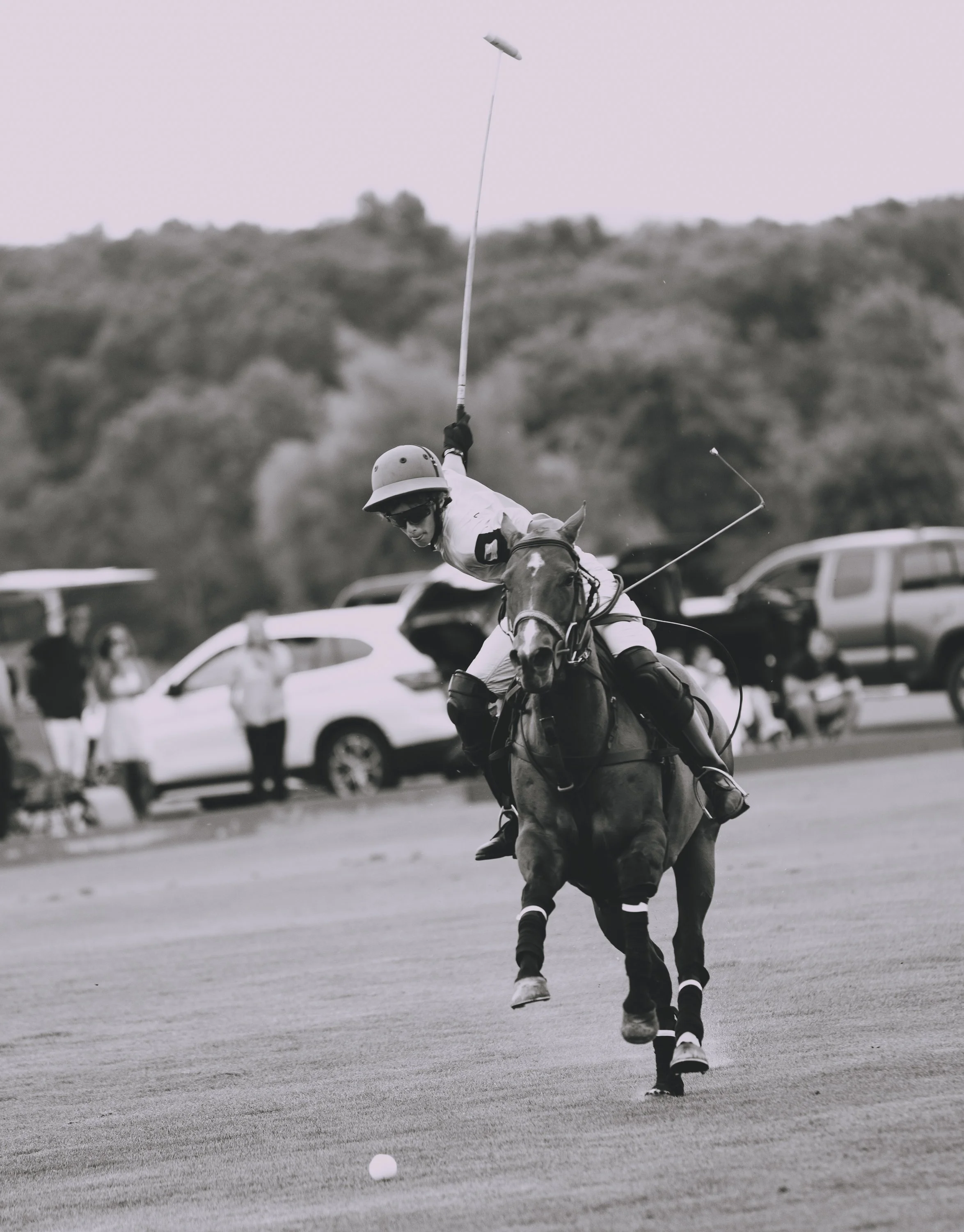 MASH POLO AUG 2-1010010.jpg