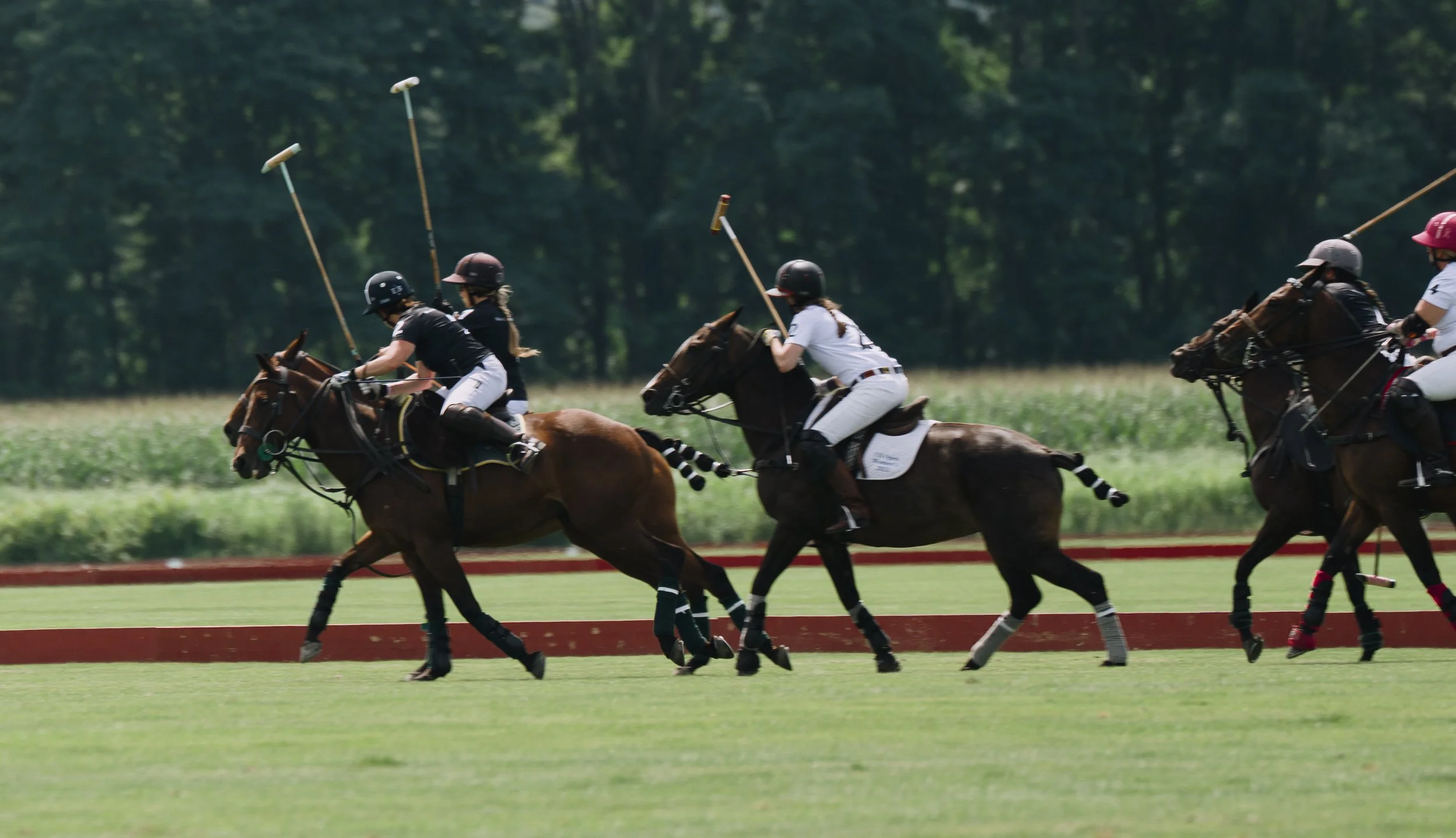 MASH POLO AUG 1-1000302.jpg