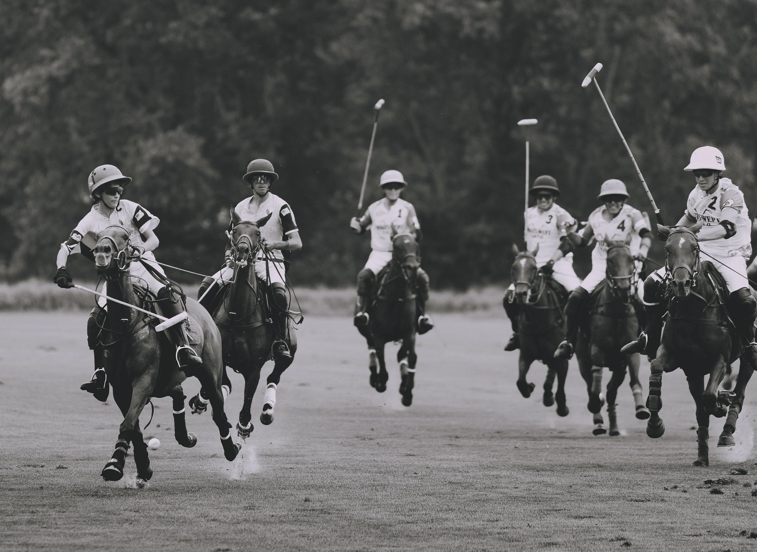 MASH POLO AUG 2-1010295.jpg