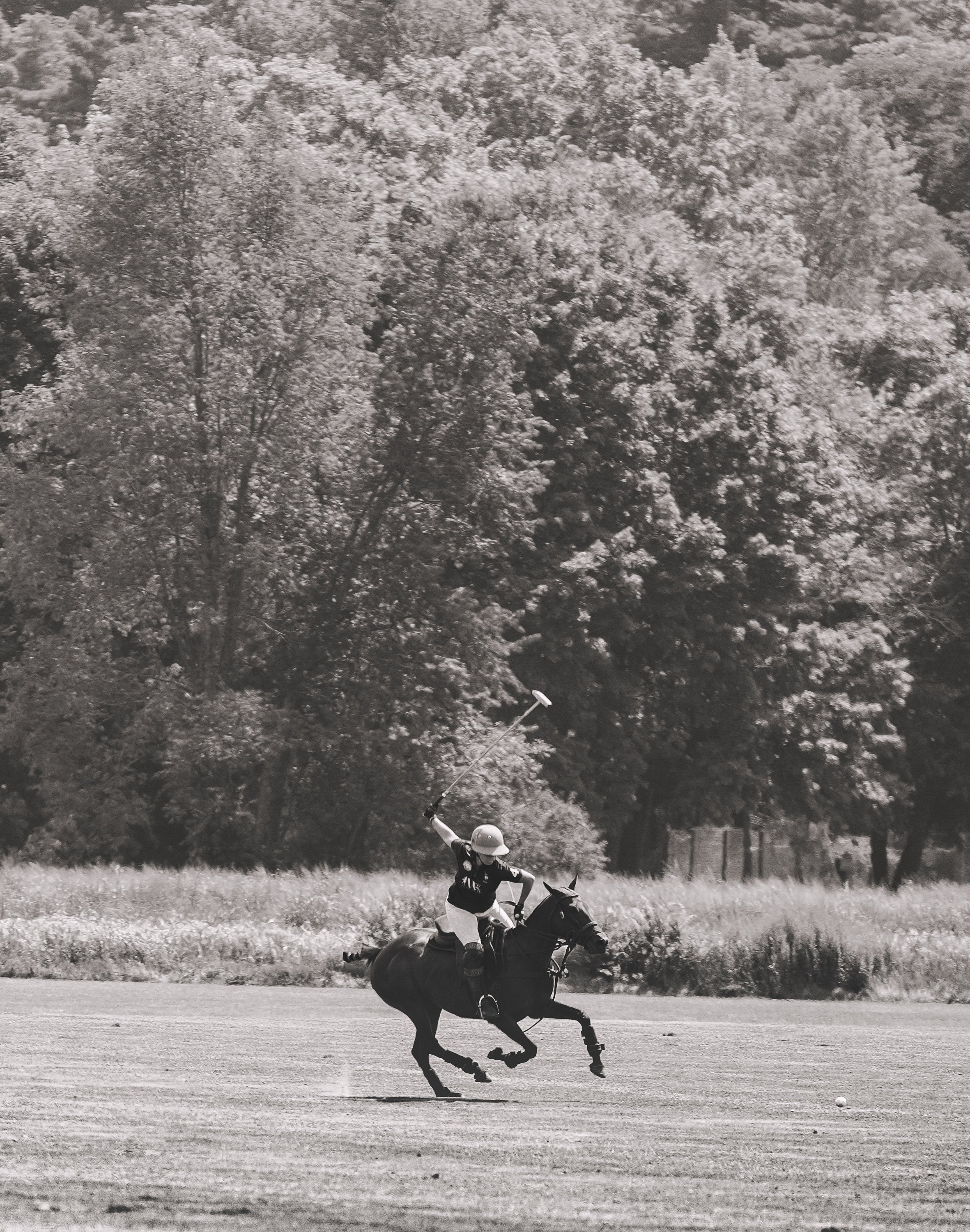 MASH POLO AUG 1-1000340.jpg
