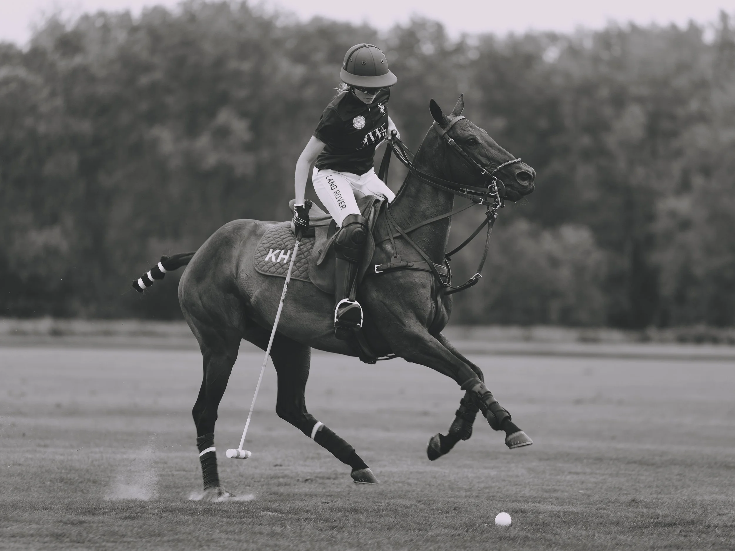 MASH POLO AUG 2-1001388.jpg