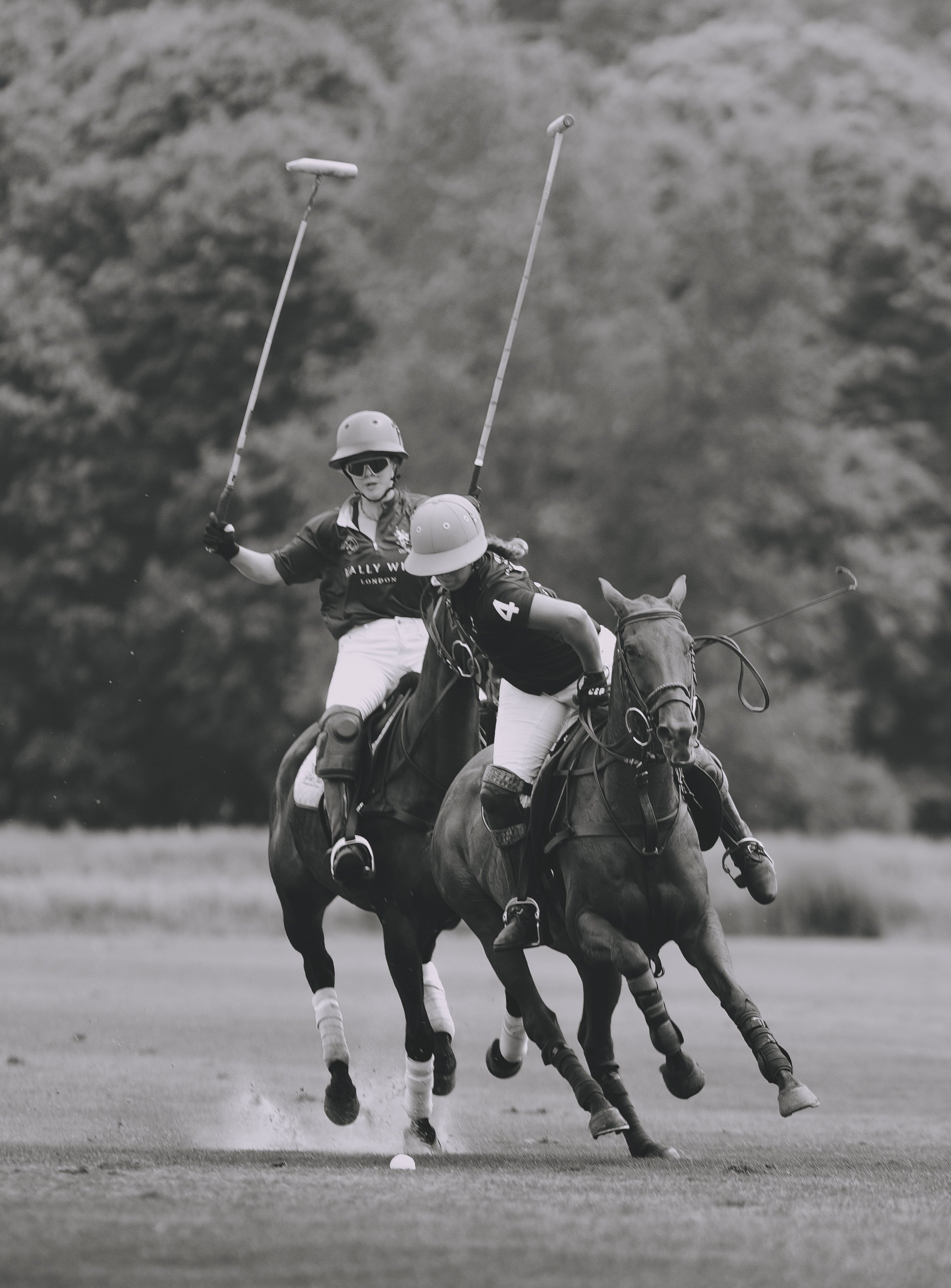 MASH POLO AUG 2-1001496.jpg