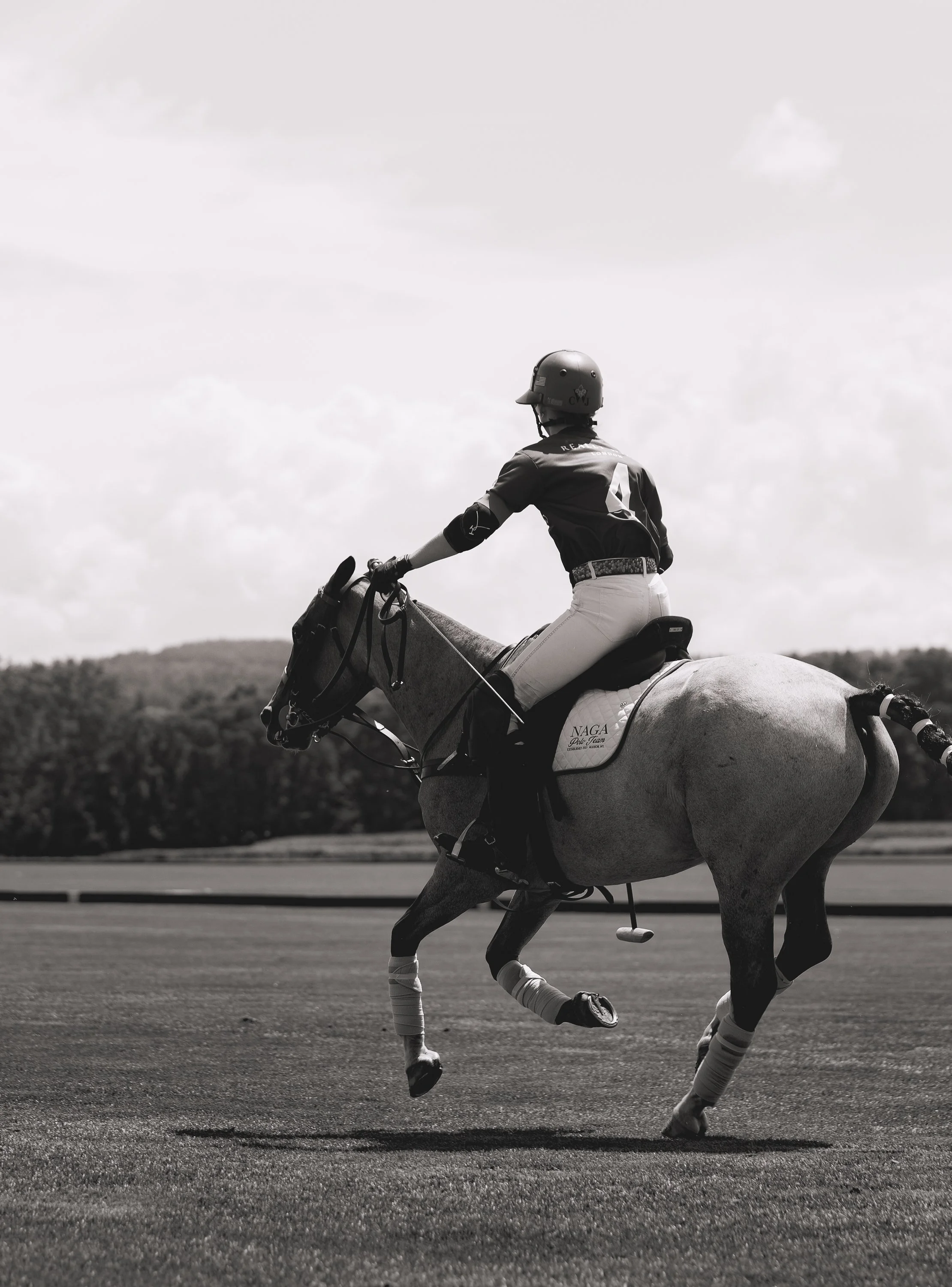 MASH POLO AUG 1-1000672.jpg
