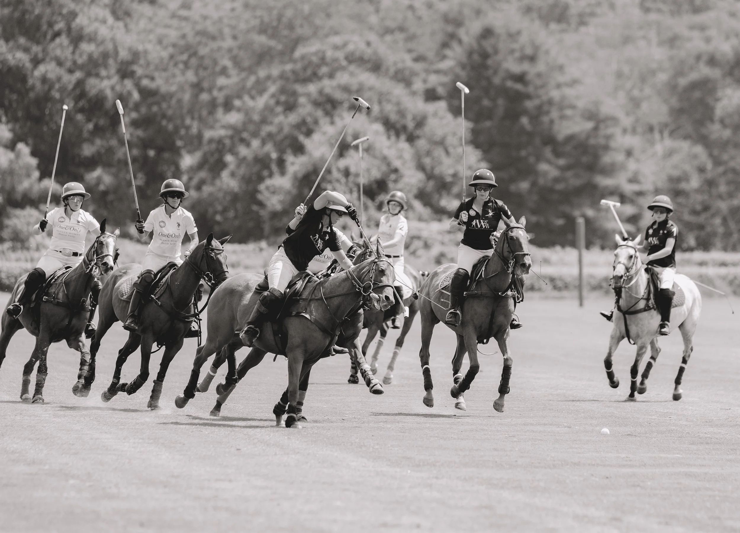 MASH POLO AUG 1-1000531.jpg