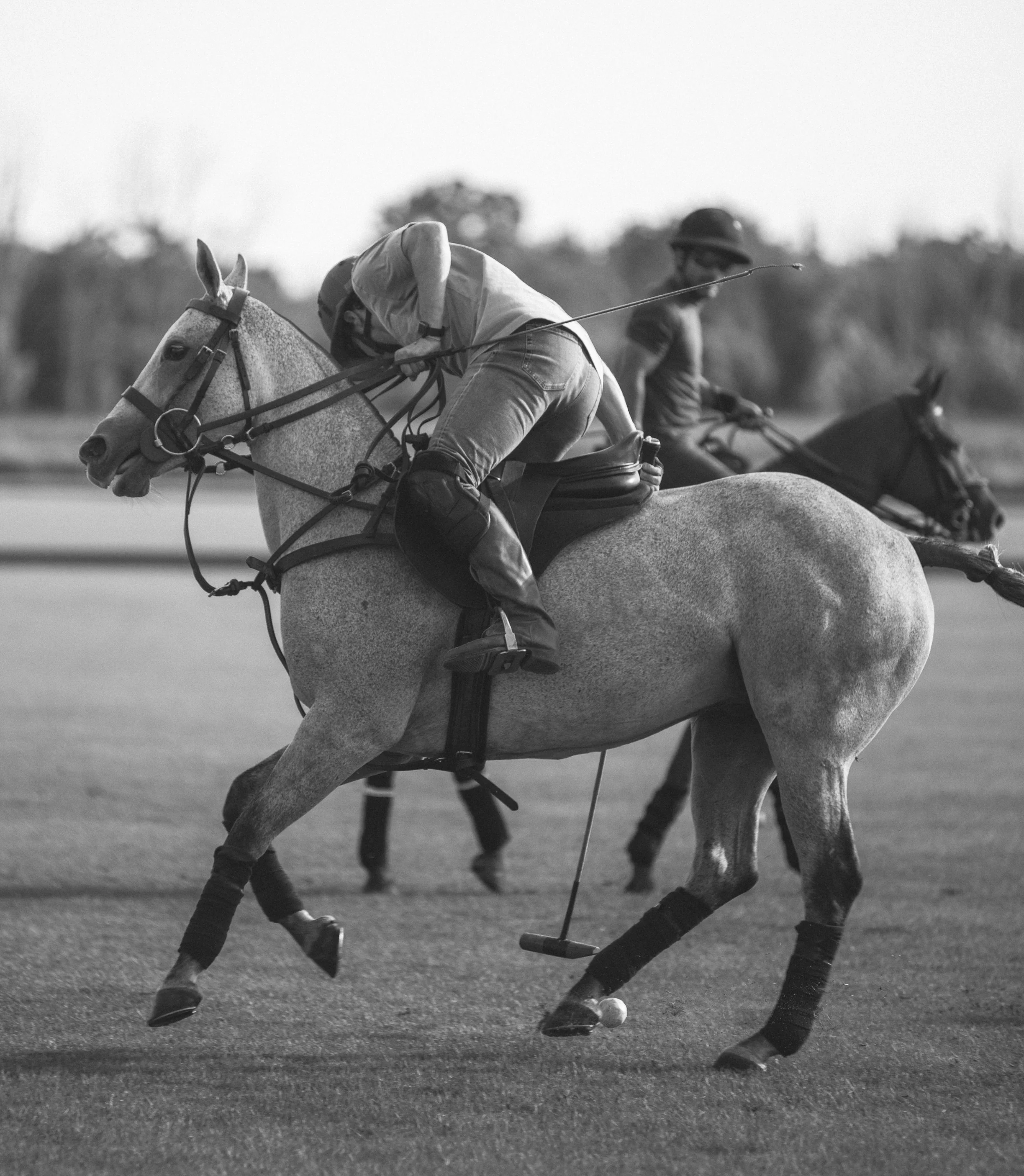 MASH AUG 19 polo-1013304.jpg