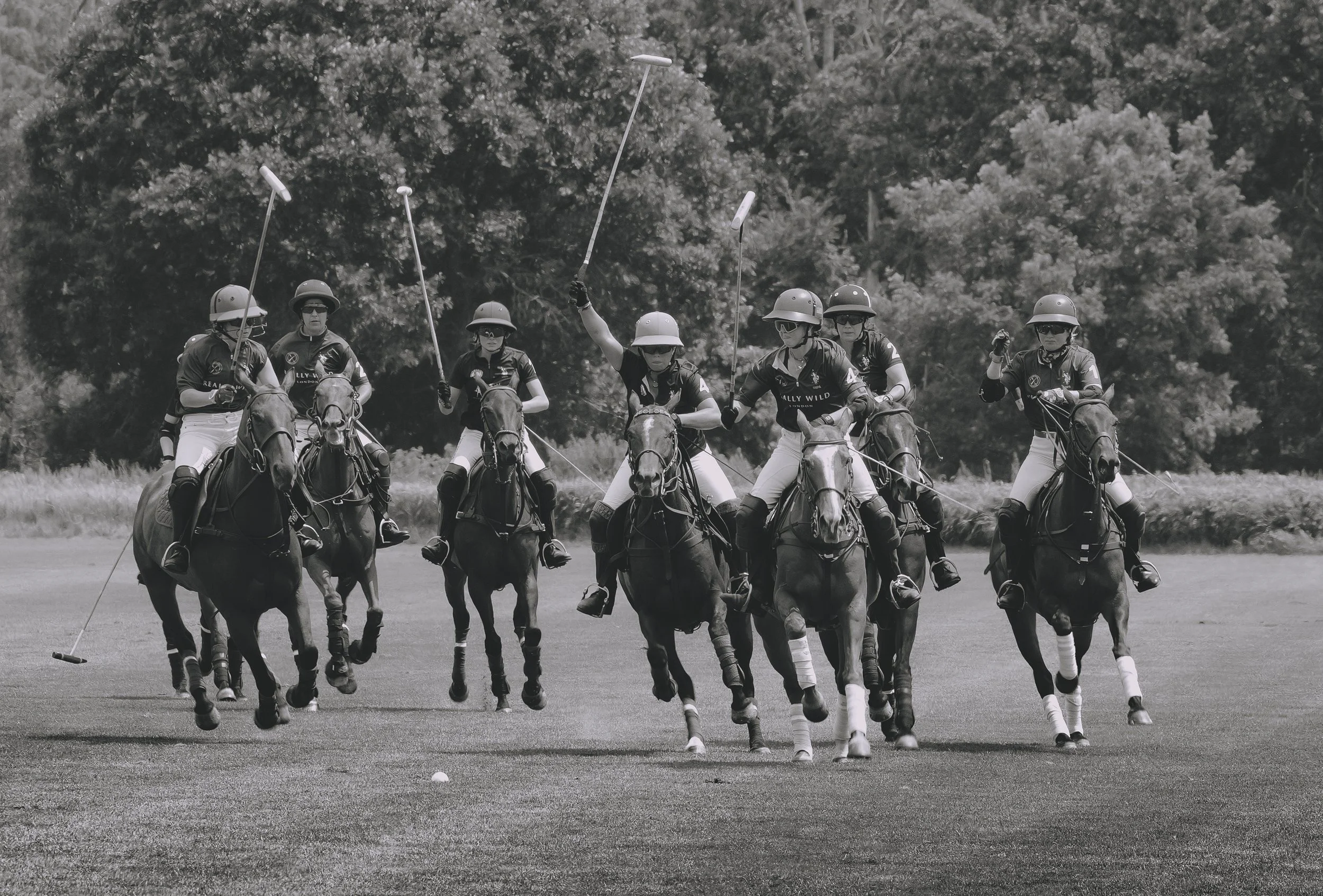 MASH POLO AUG 2-1001253.jpg
