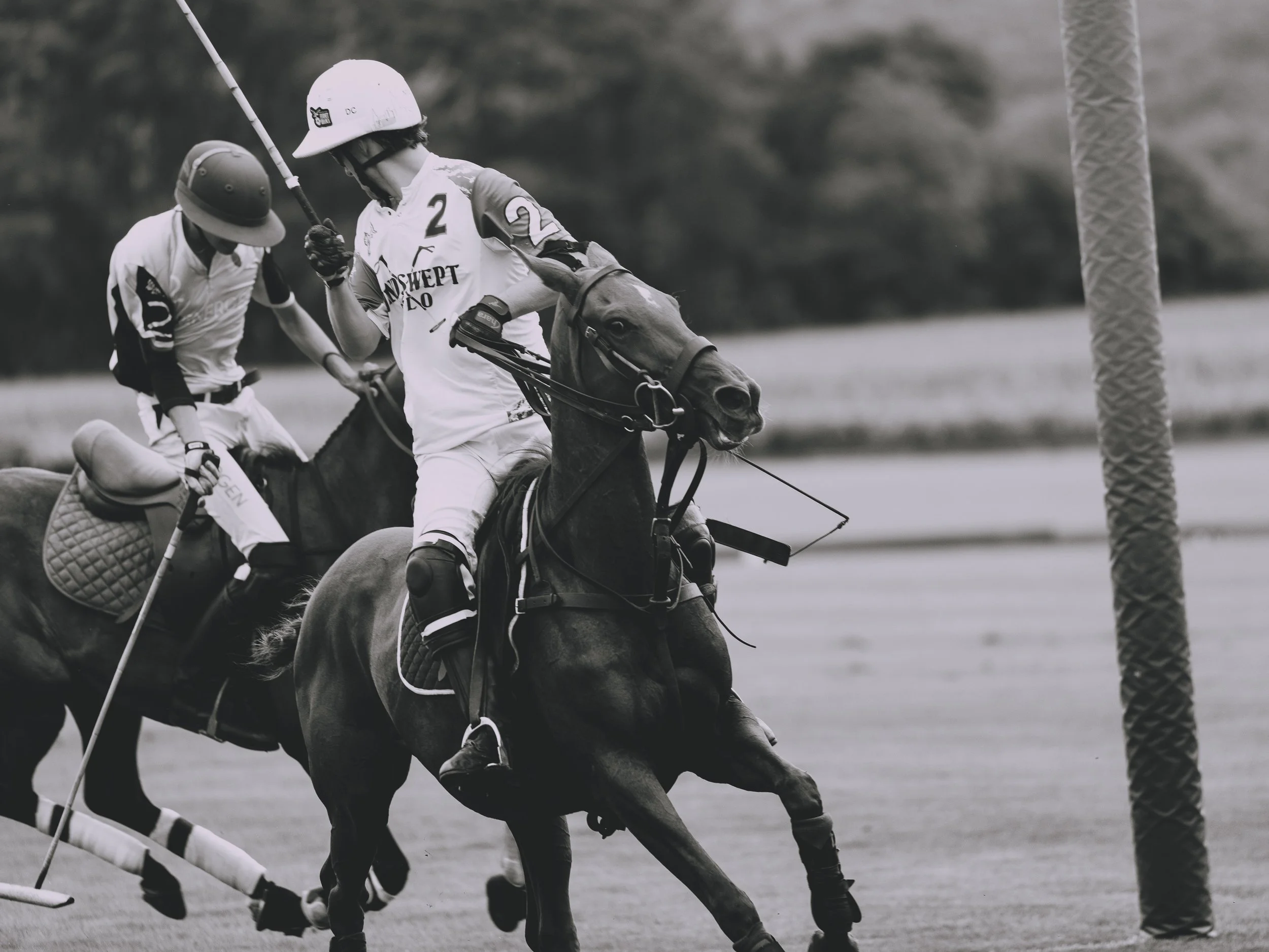 MASH POLO AUG 2-1010283.jpg