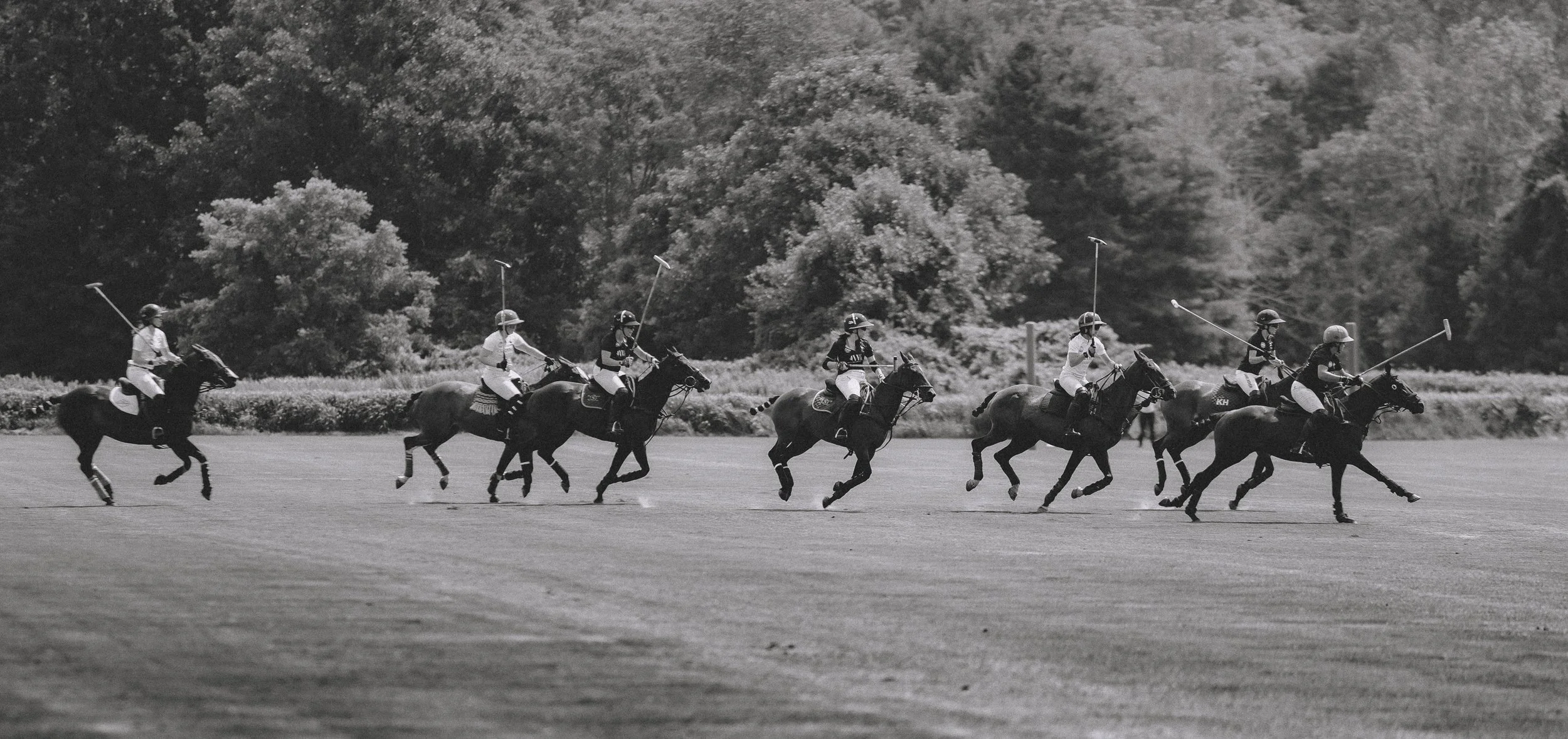 MASH POLO AUG 1-1000285.jpg