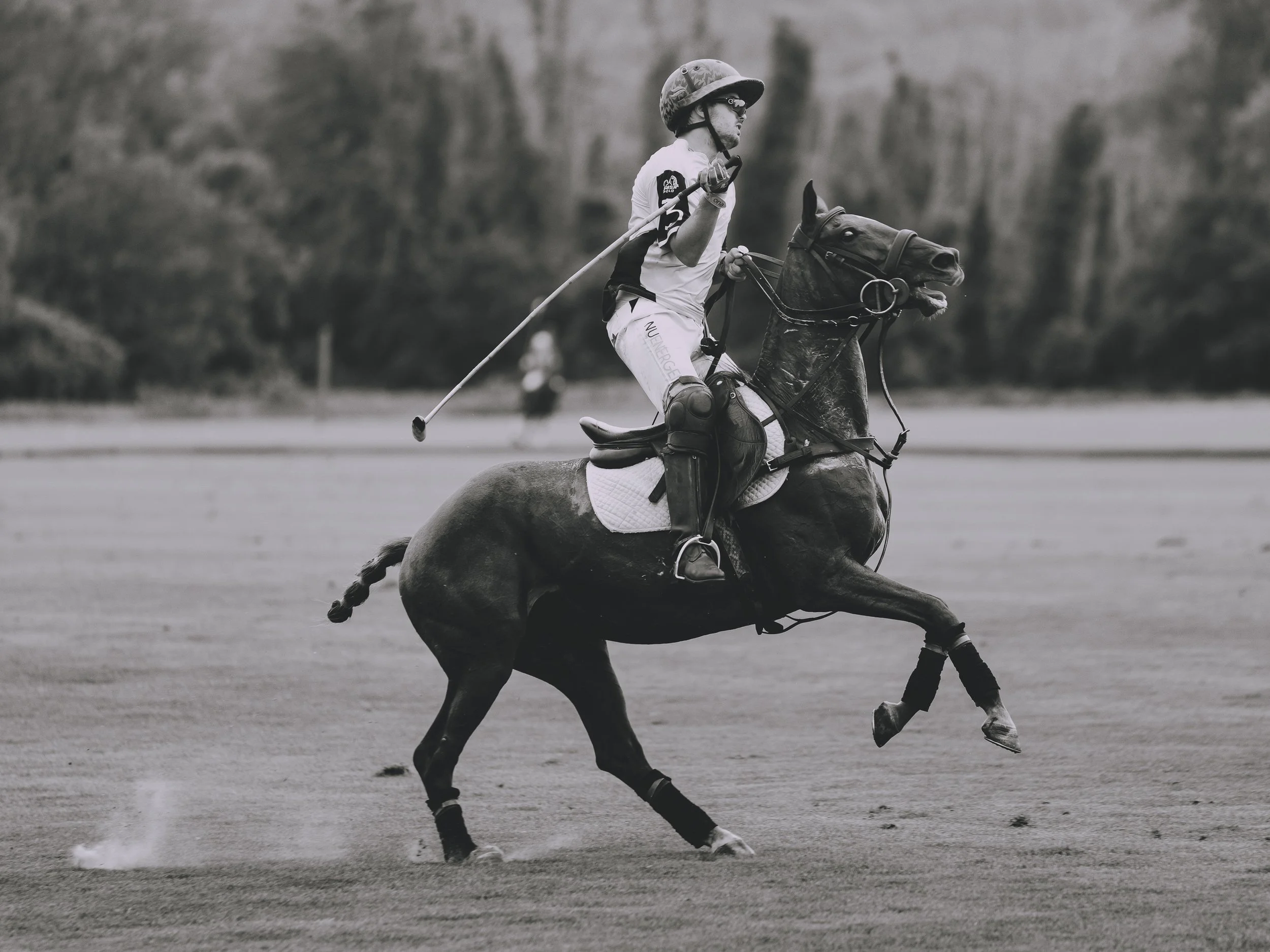 MASH POLO AUG 2-1010317.jpg