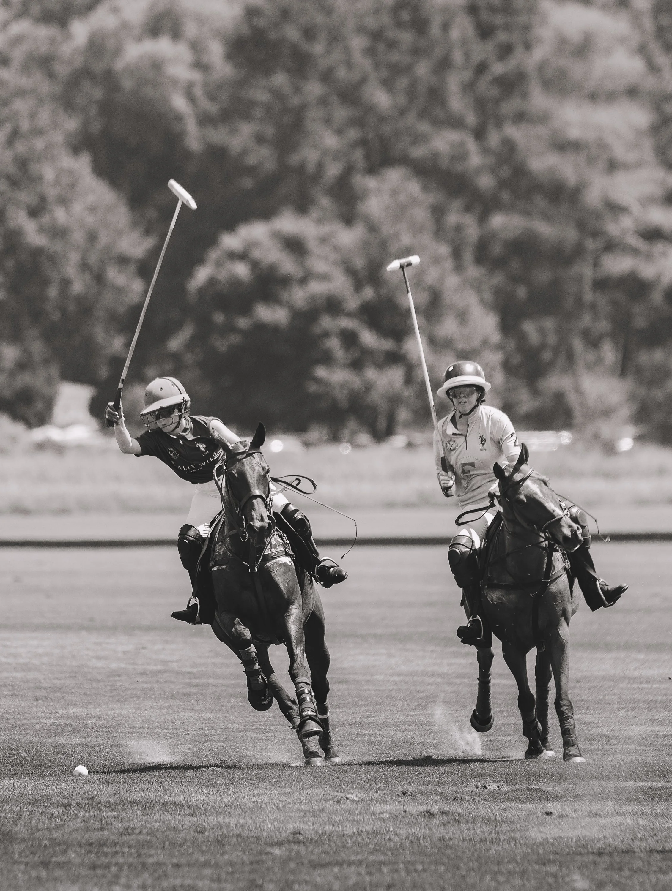 MASH POLO AUG 1-1000899.jpg