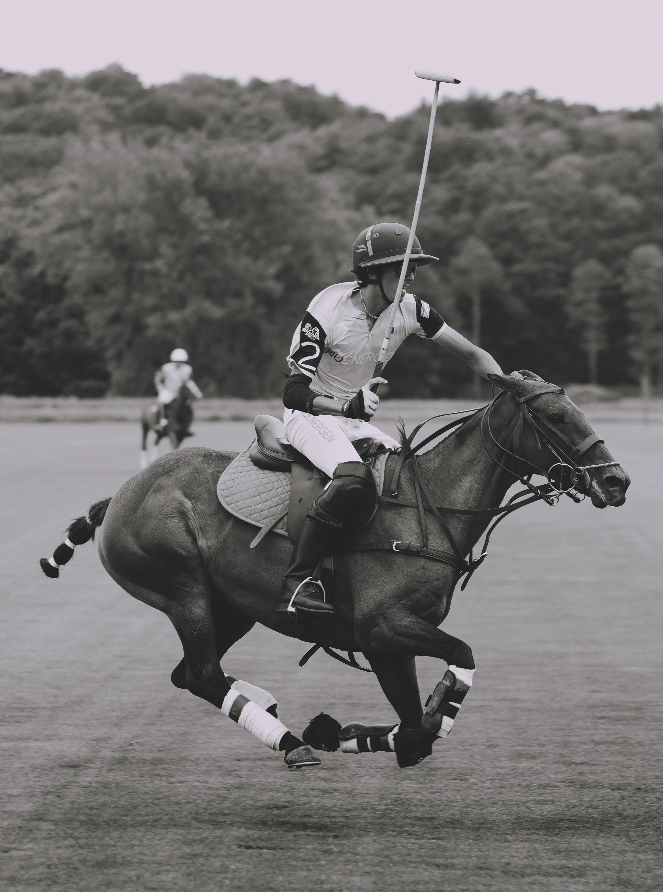 MASH POLO AUG 2-1001851.jpg