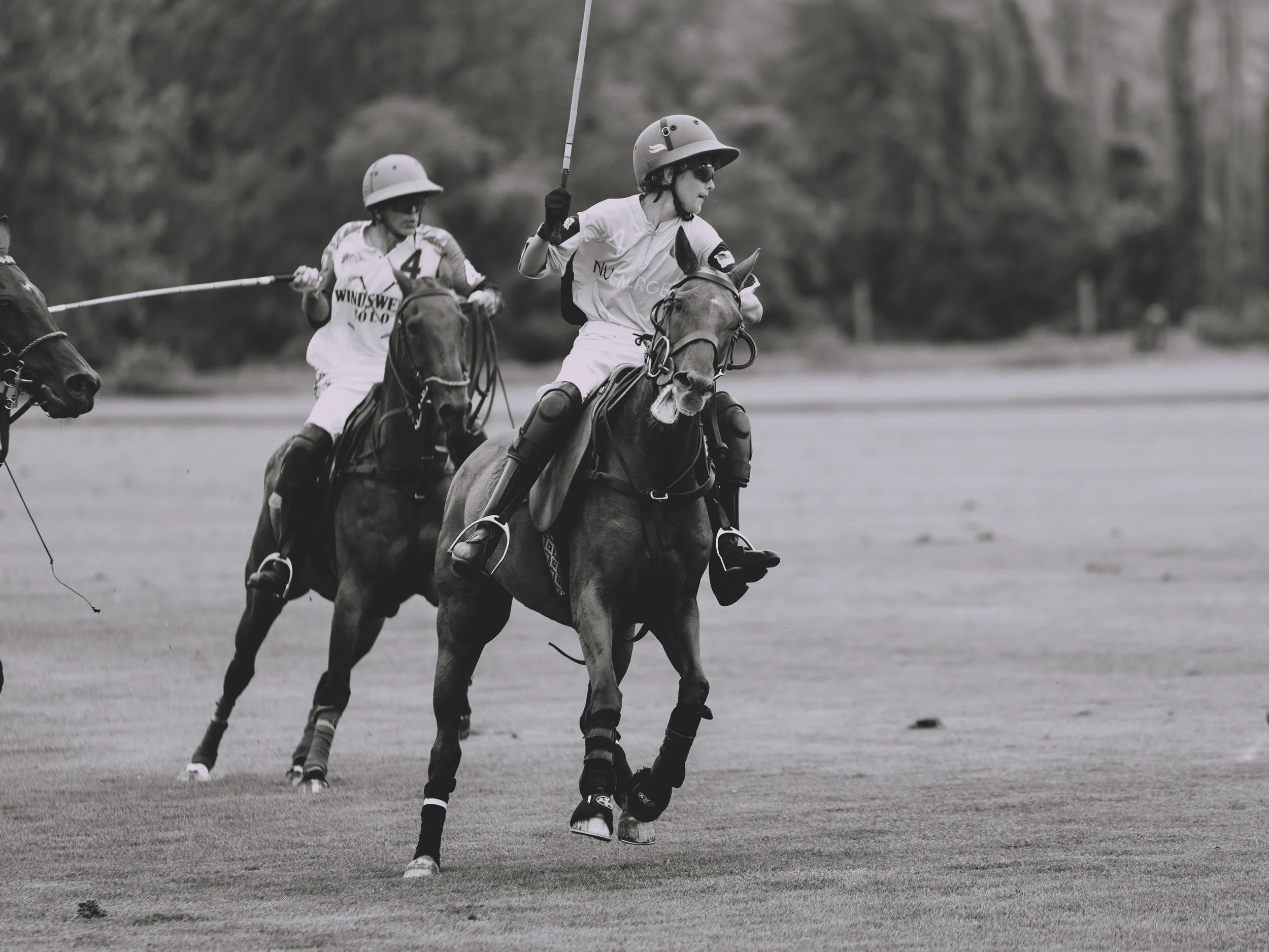 MASH POLO AUG 2-1010281.jpg
