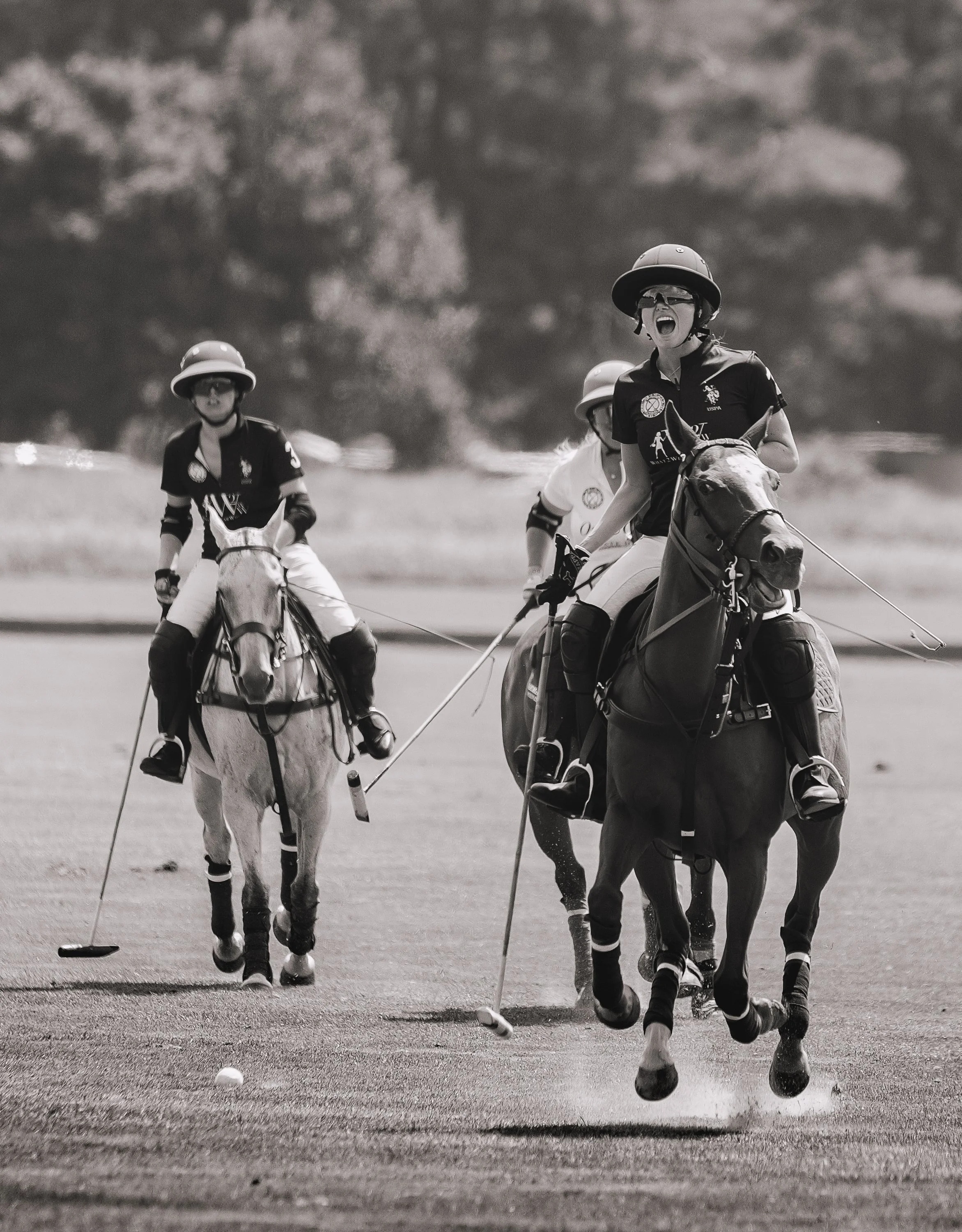 MASH POLO AUG 1-1000418.jpg