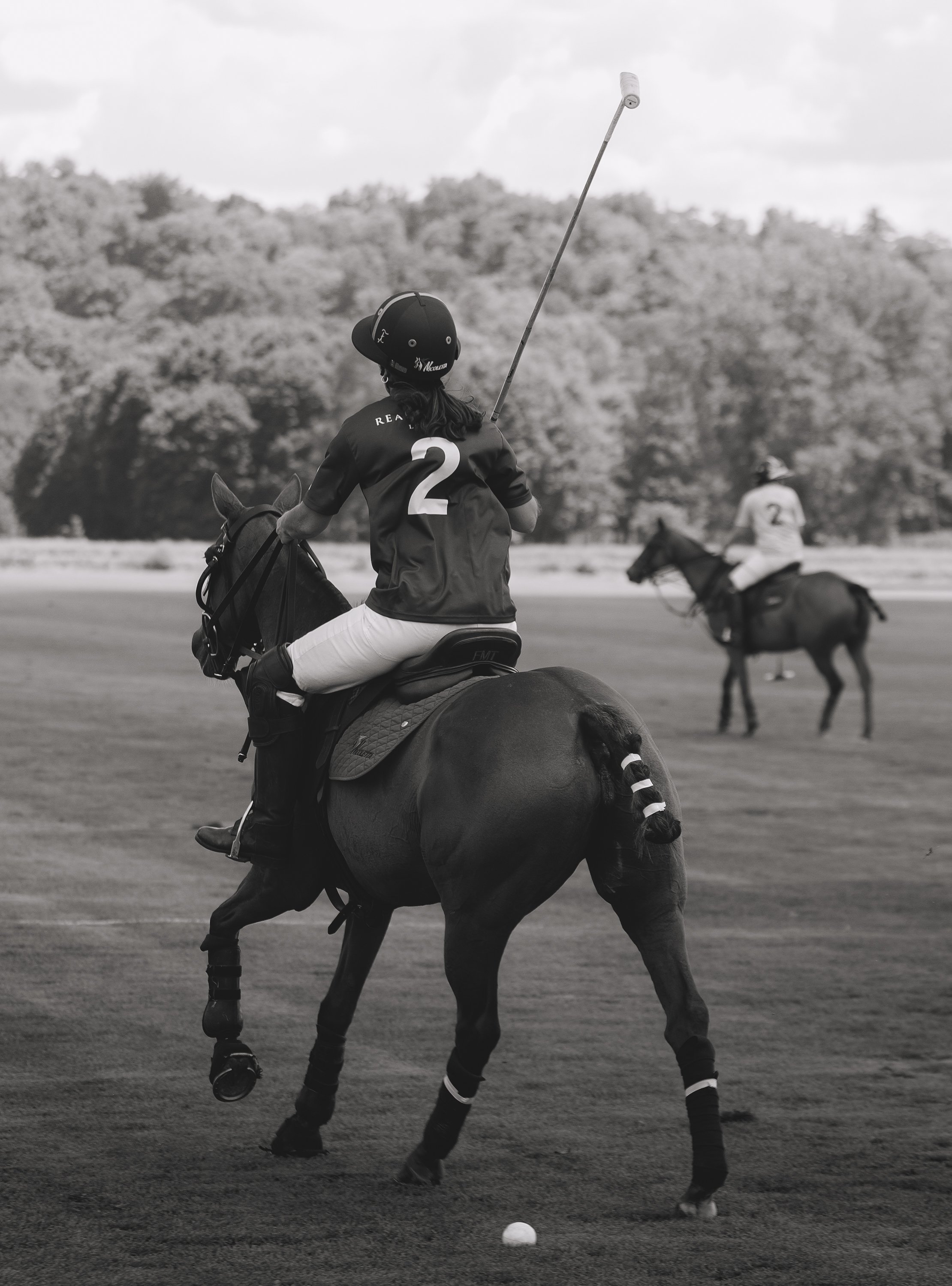 MASH POLO AUG 1-1000879.jpg