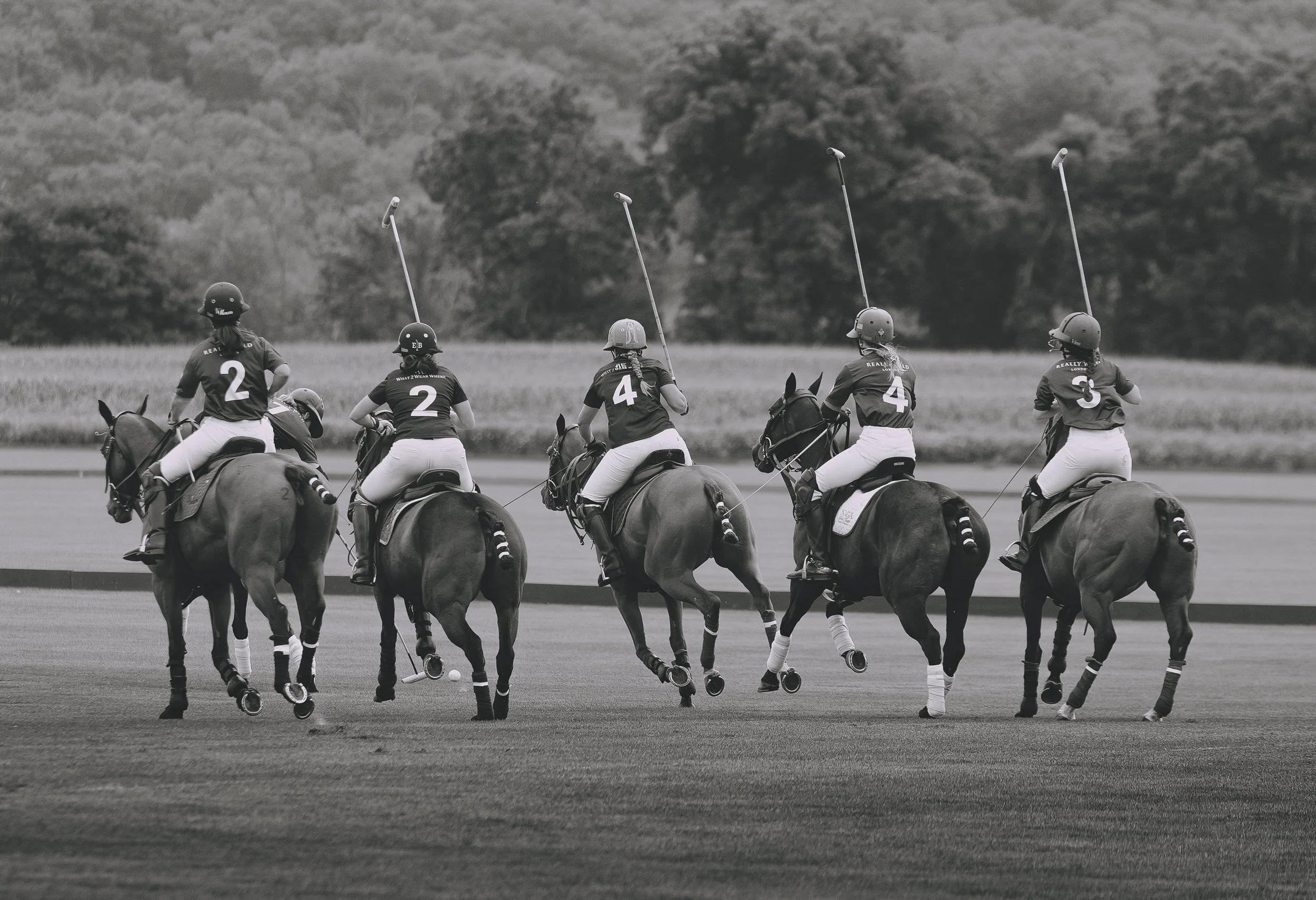 MASH POLO AUG 2-1000998.jpg