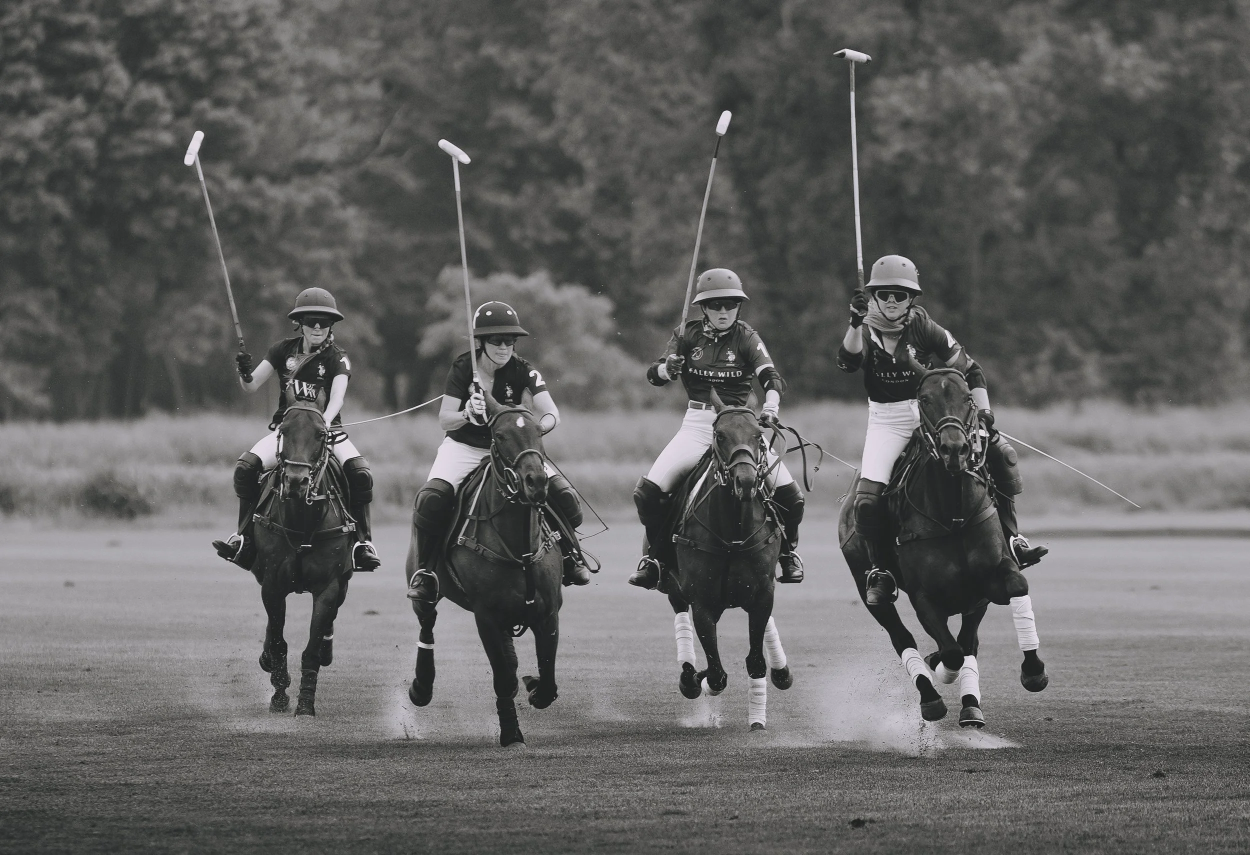 MASH POLO AUG 2-1001024.jpg