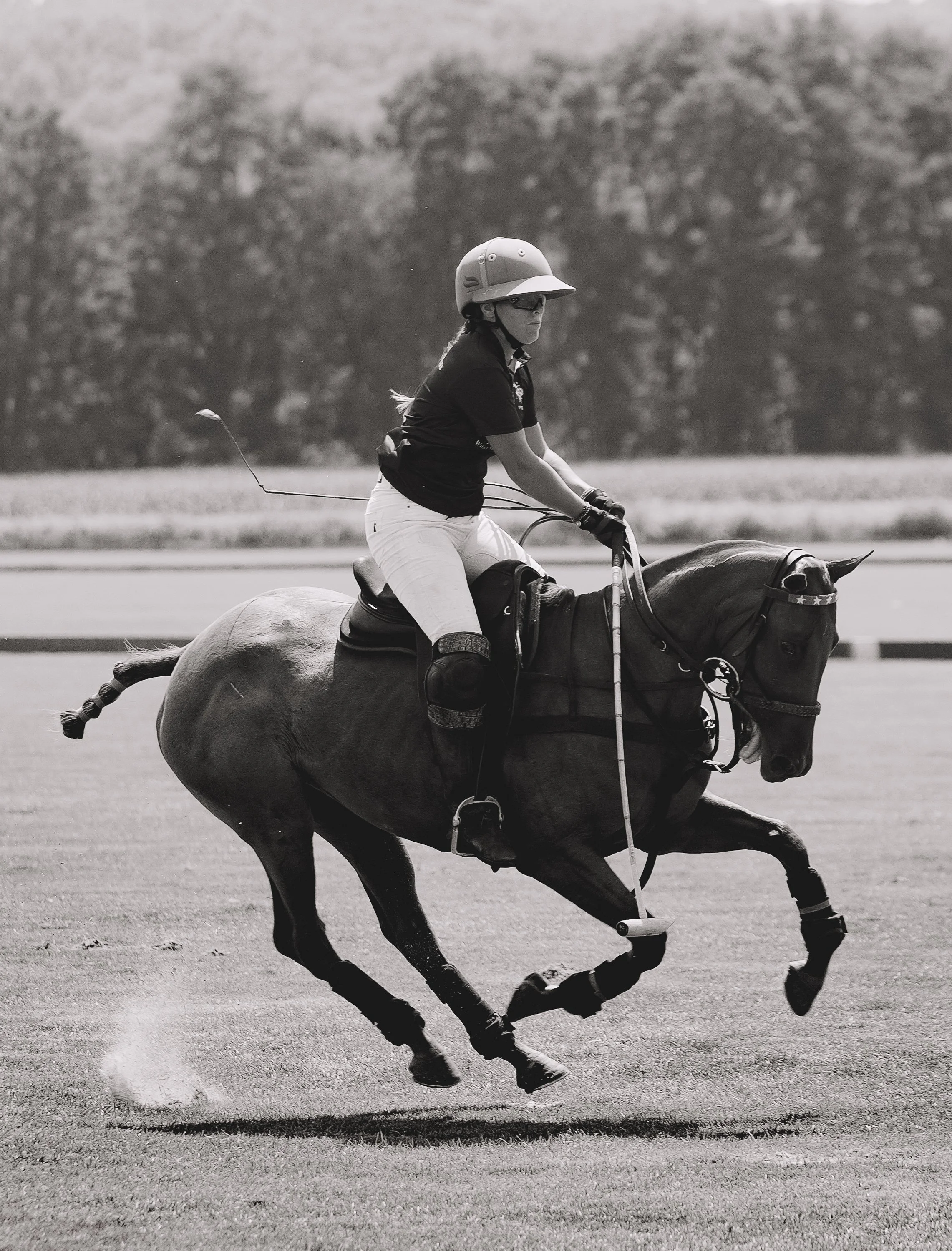 MASH POLO AUG 1-1000570.jpg