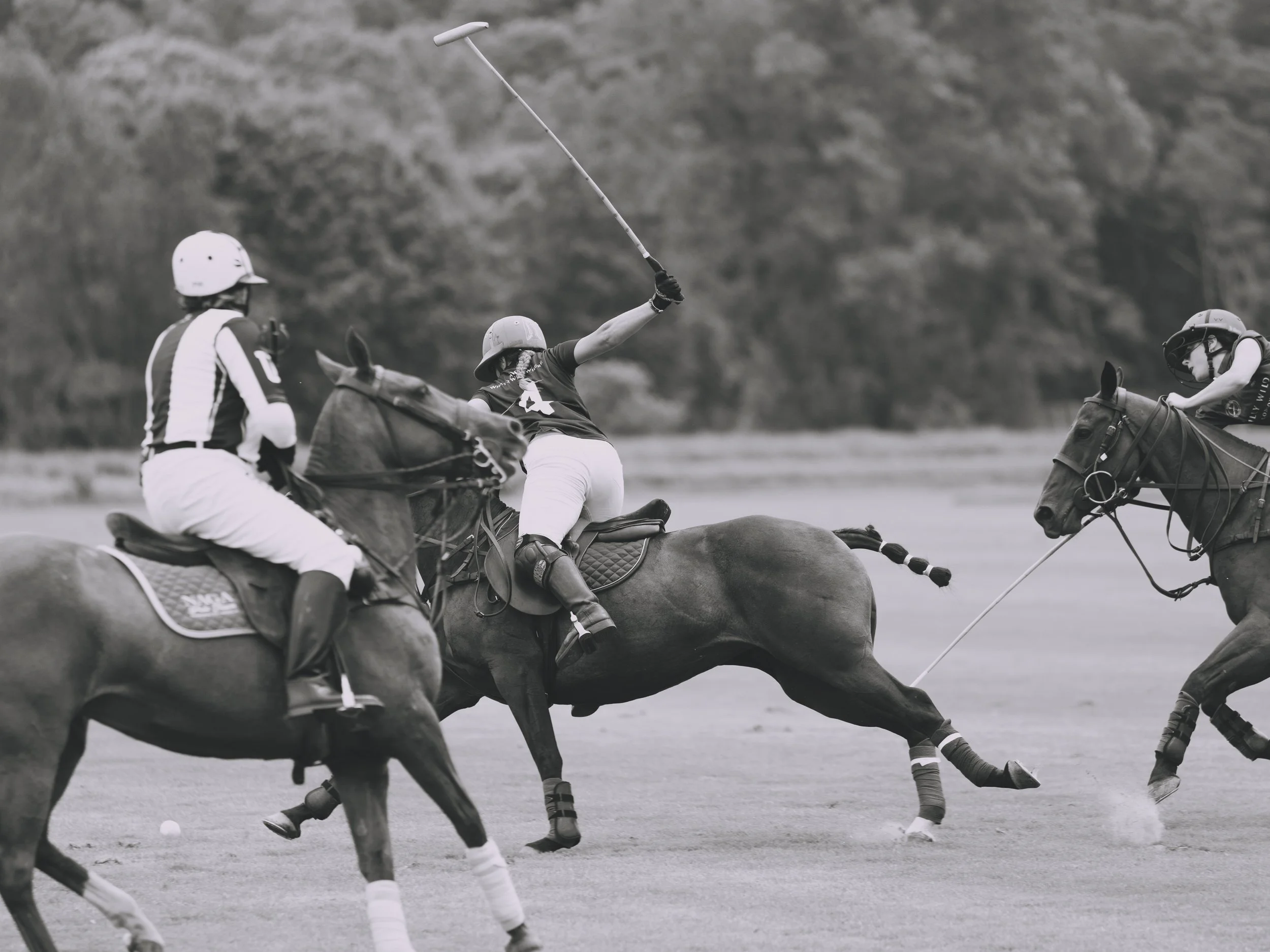 MASH POLO AUG 2-1001314.jpg