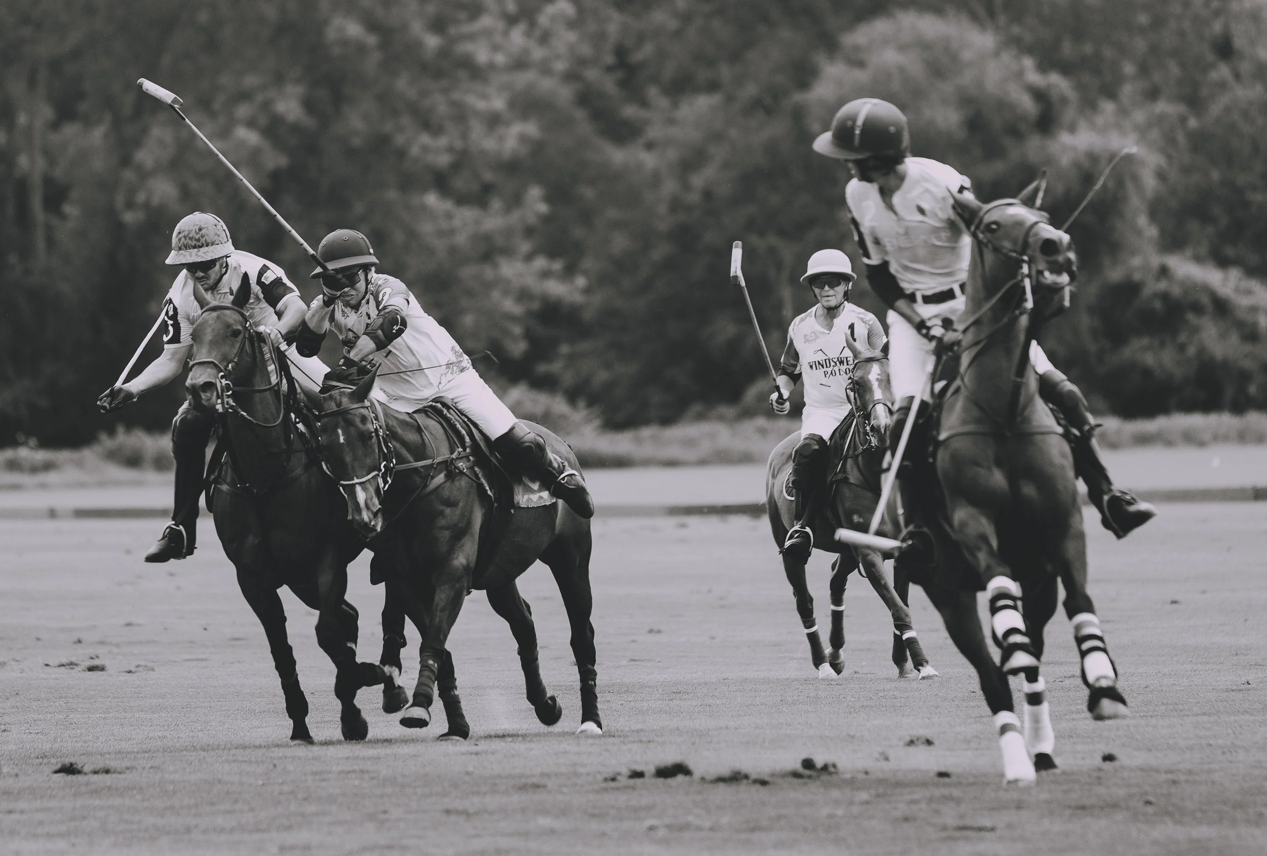 MASH POLO AUG 2-1010063.jpg