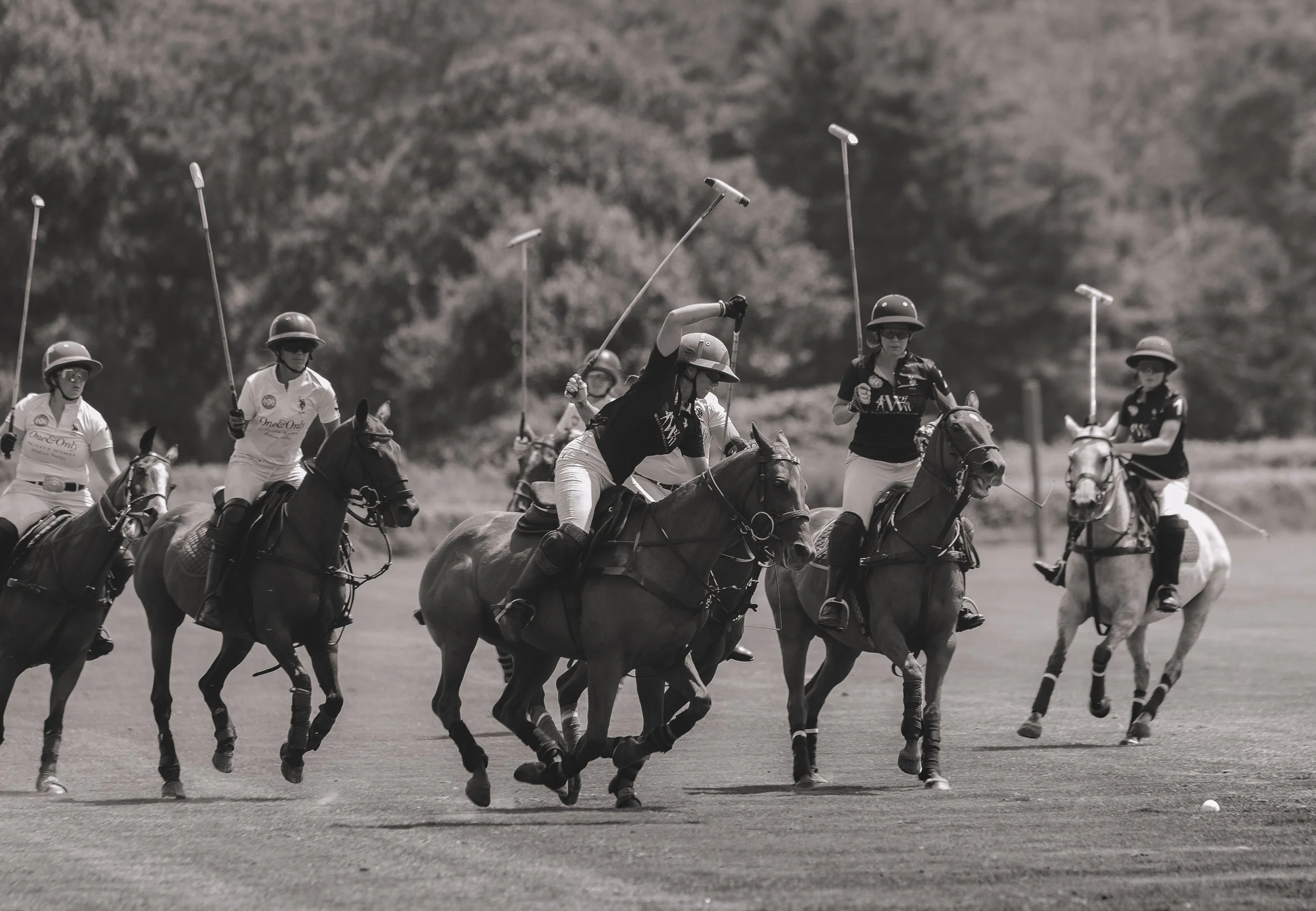 MASH POLO AUG 1-1000532.jpg