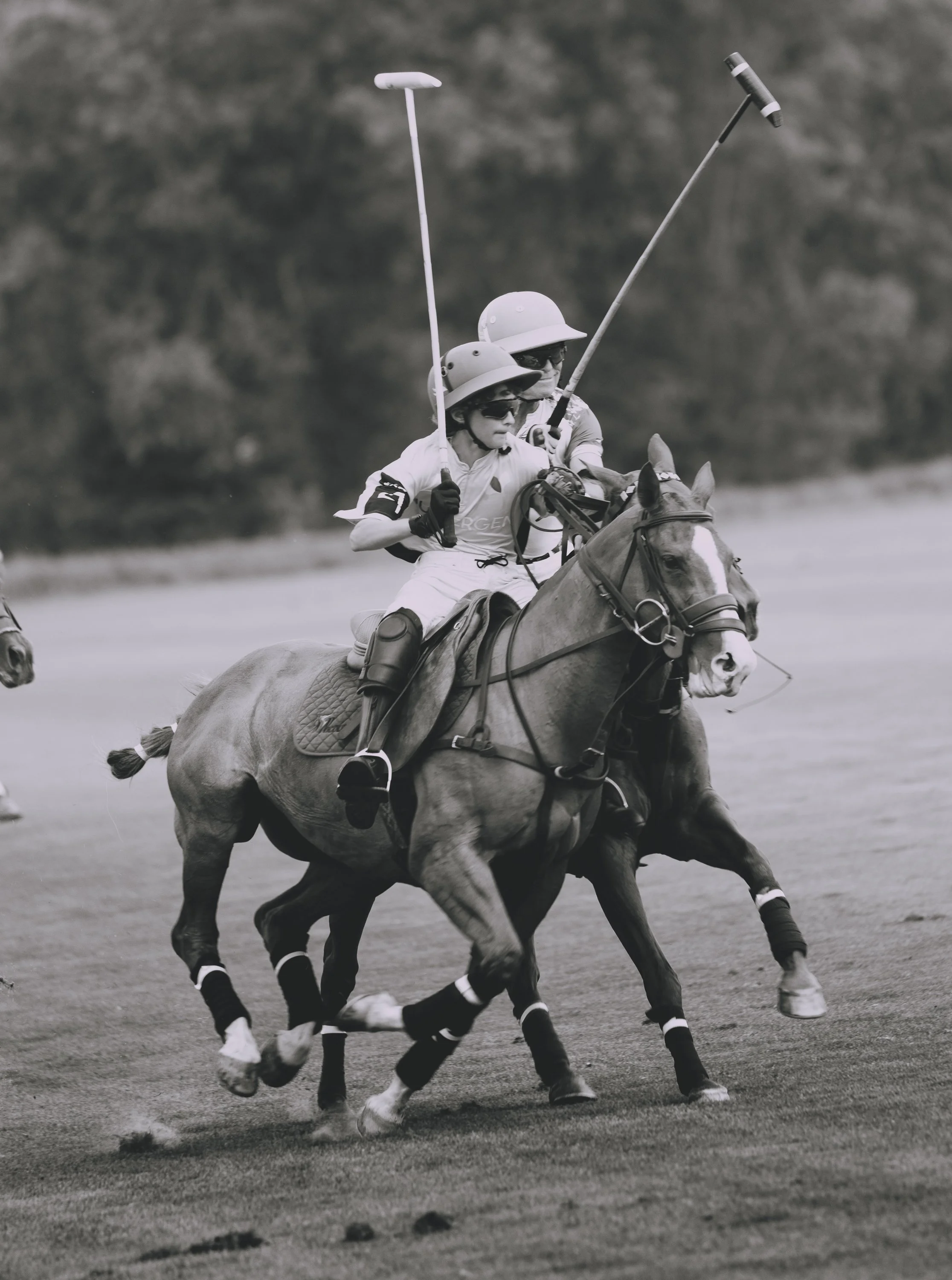 MASH POLO AUG 2-1010098.jpg