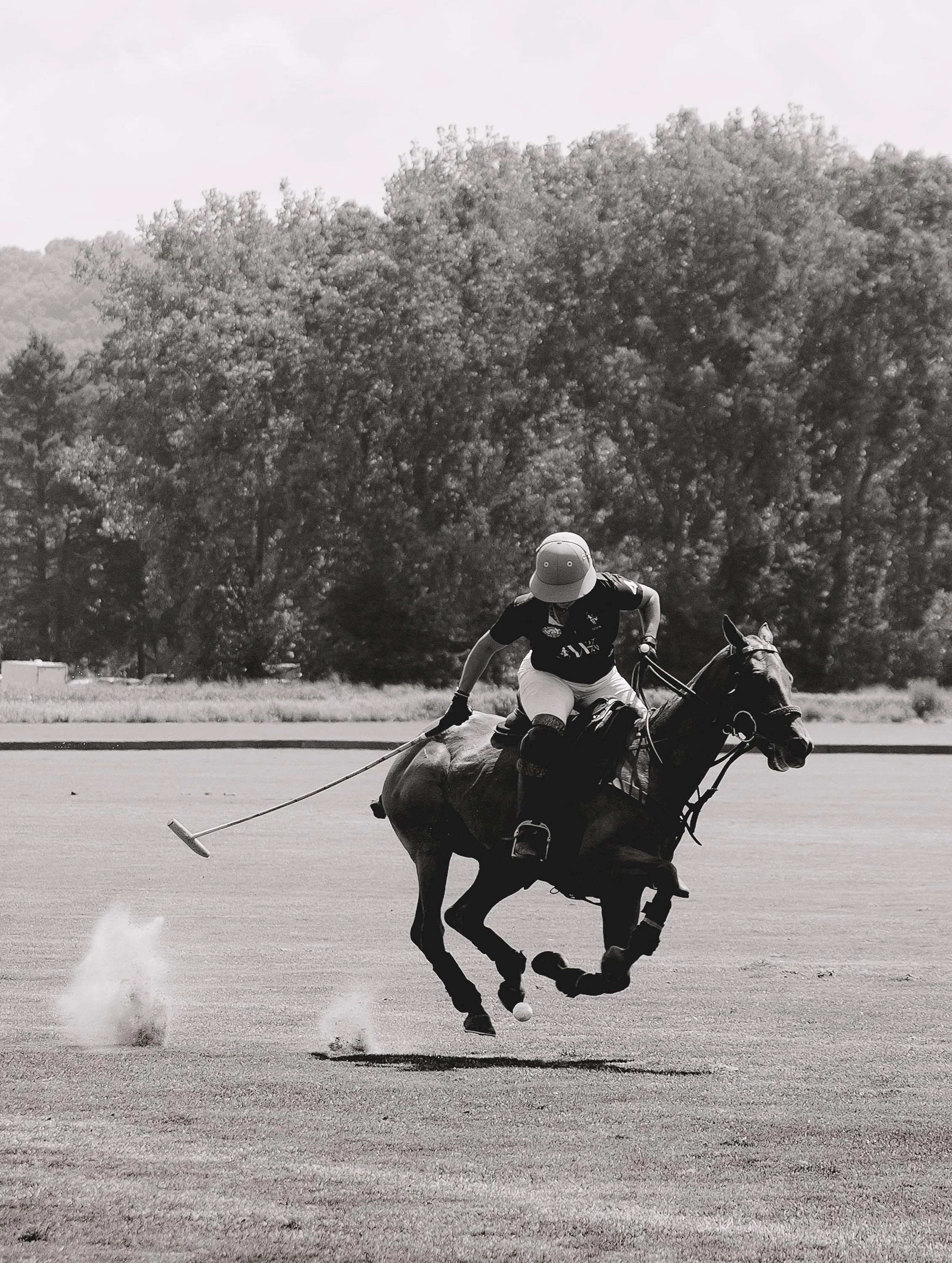 MASH POLO AUG 1-1000567.jpg