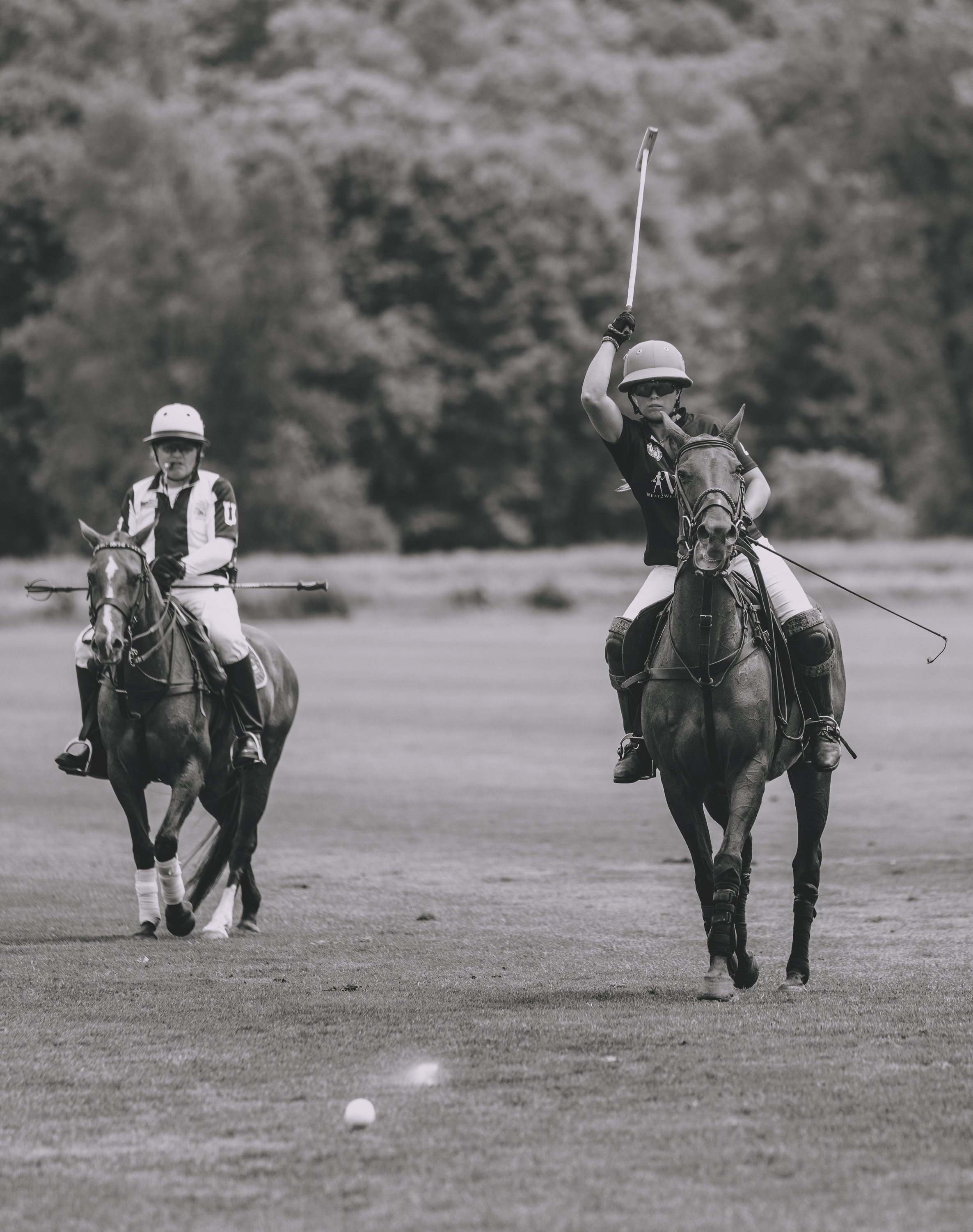 MASH POLO AUG 2-1001492.jpg