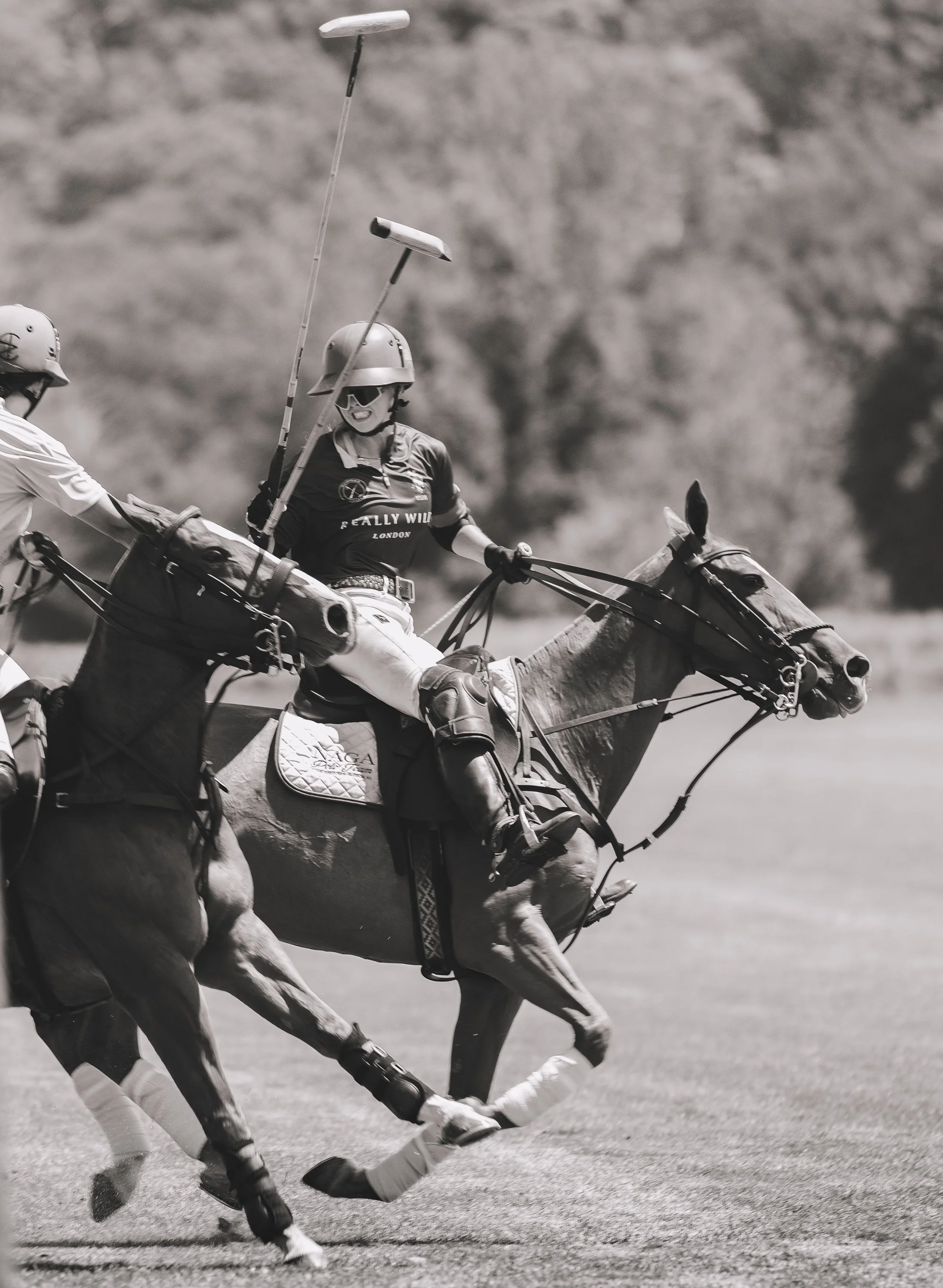 MASH POLO AUG 1-1000790.jpg