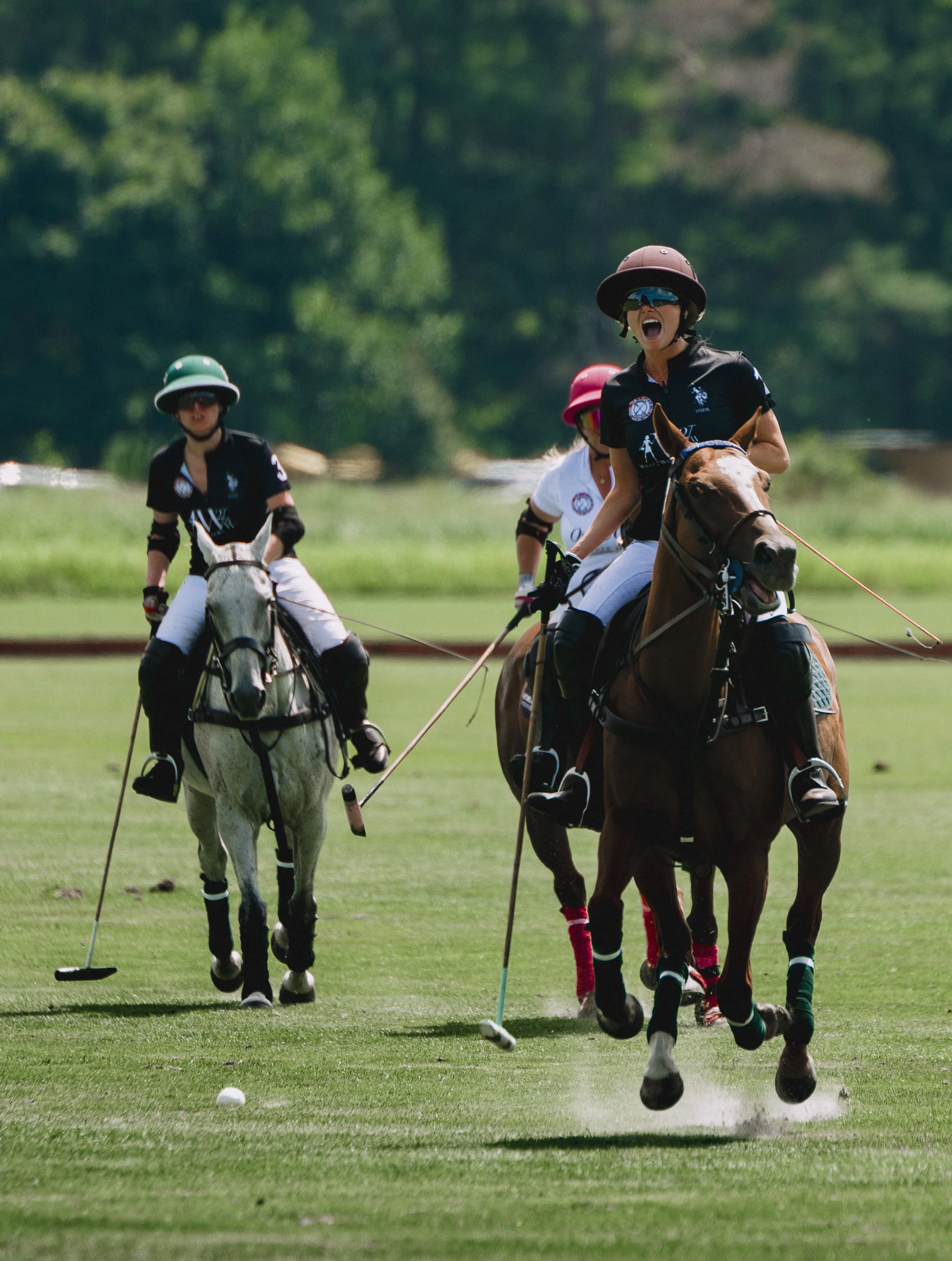 MASH POLO AUG 1-1000418.jpg