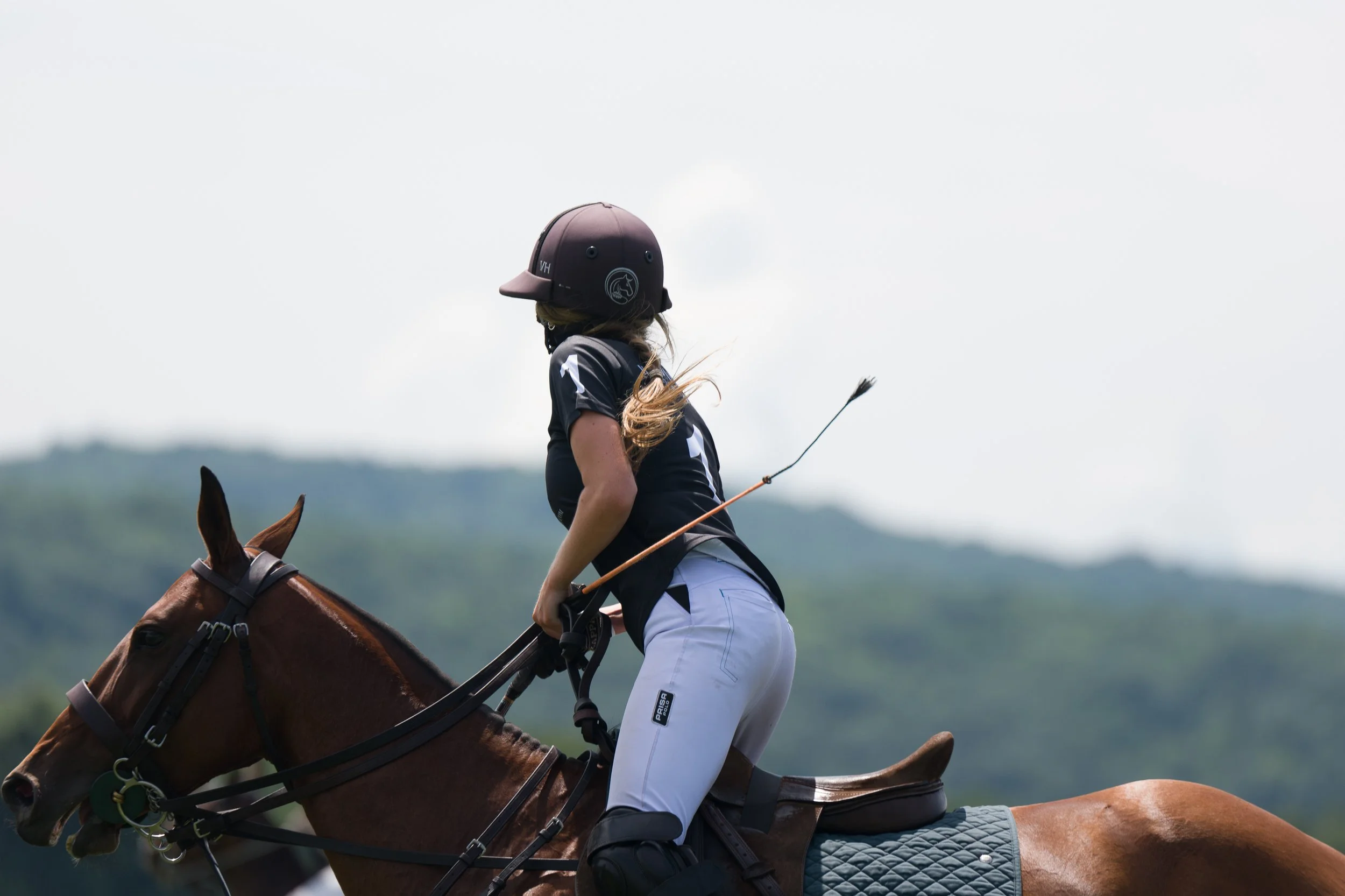 MASH POLO AUG 1-1000377.jpg