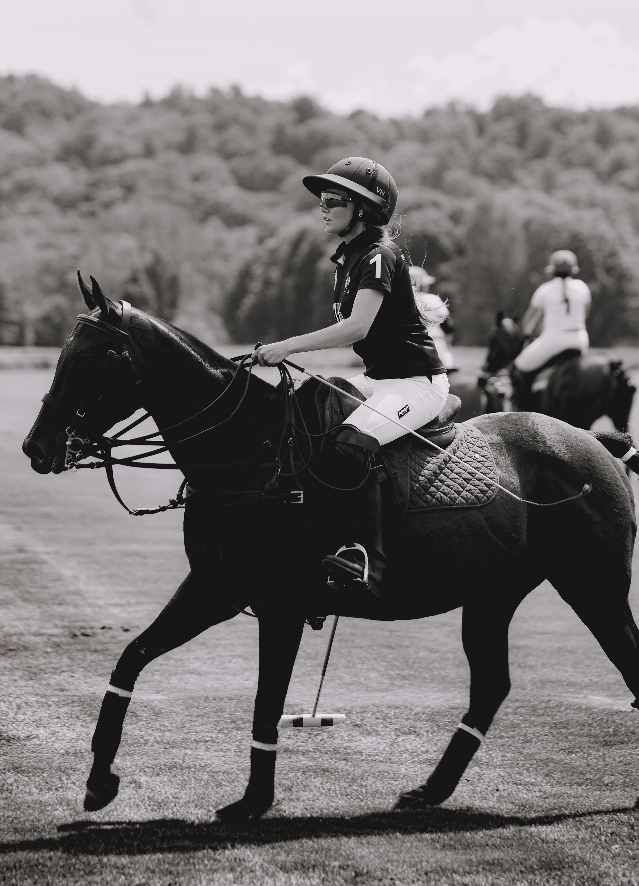 MASH POLO AUG 1-1000241.jpg