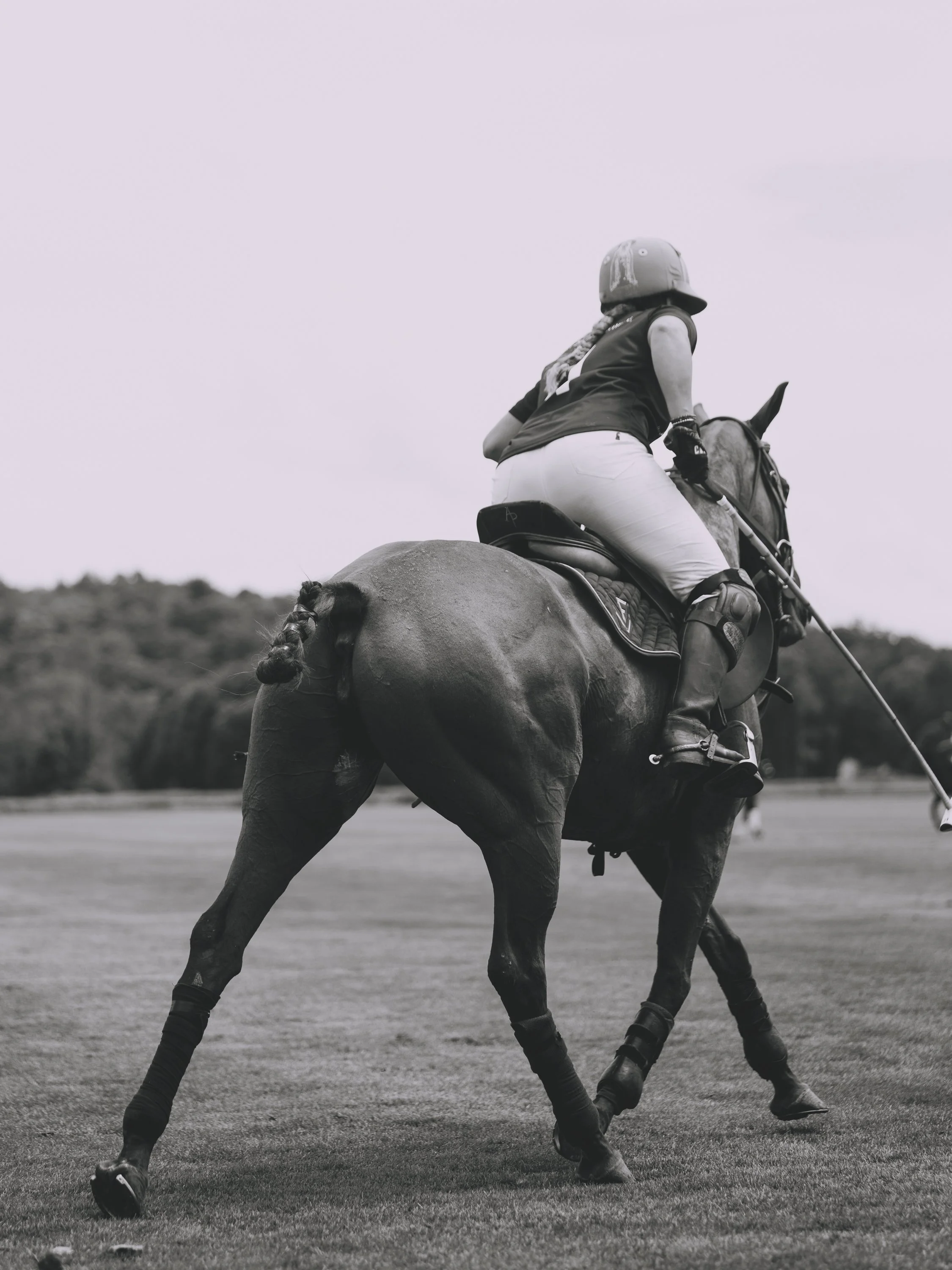 MASH POLO AUG 2-1001546.jpg