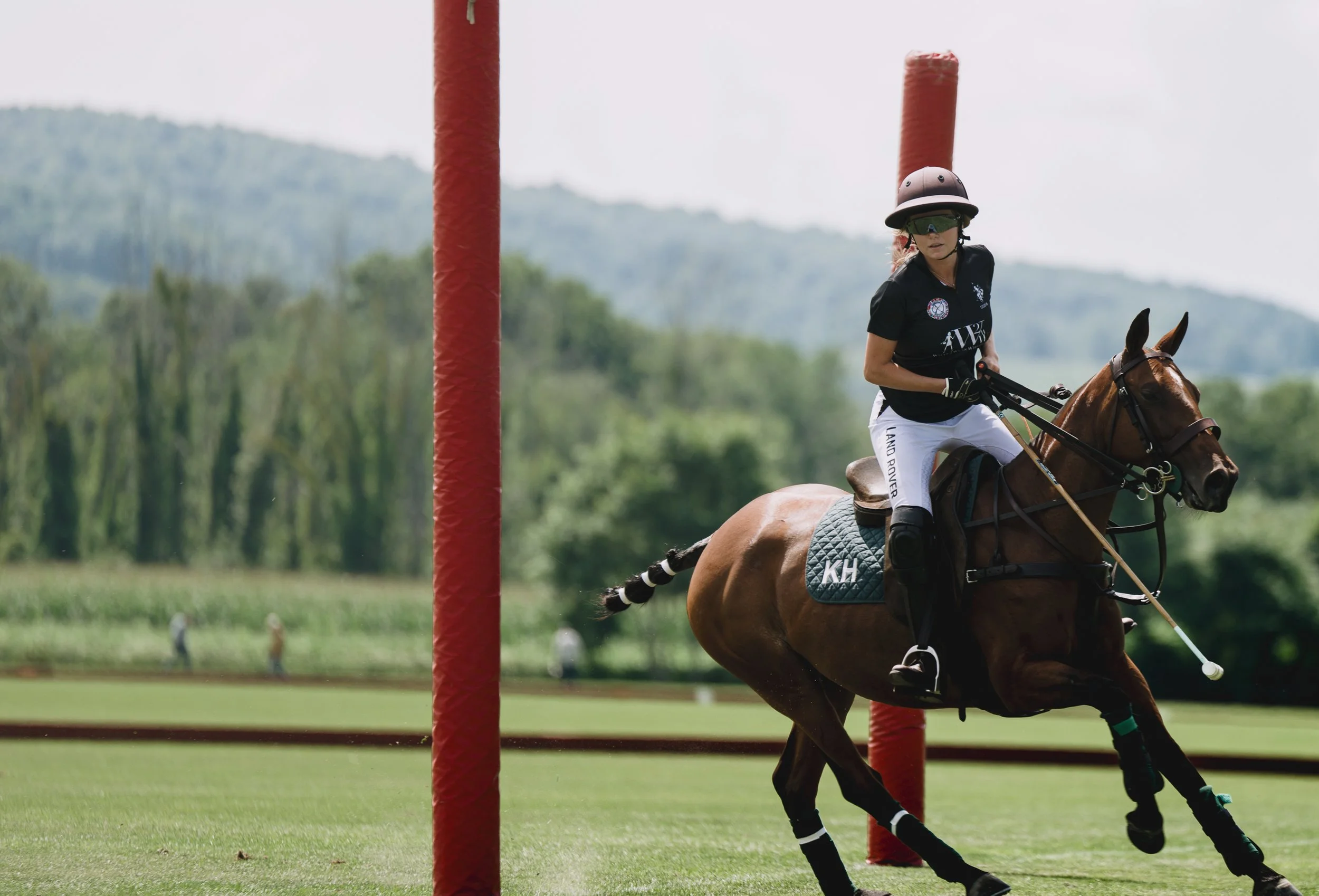 MASH POLO AUG 1-1000371.jpg