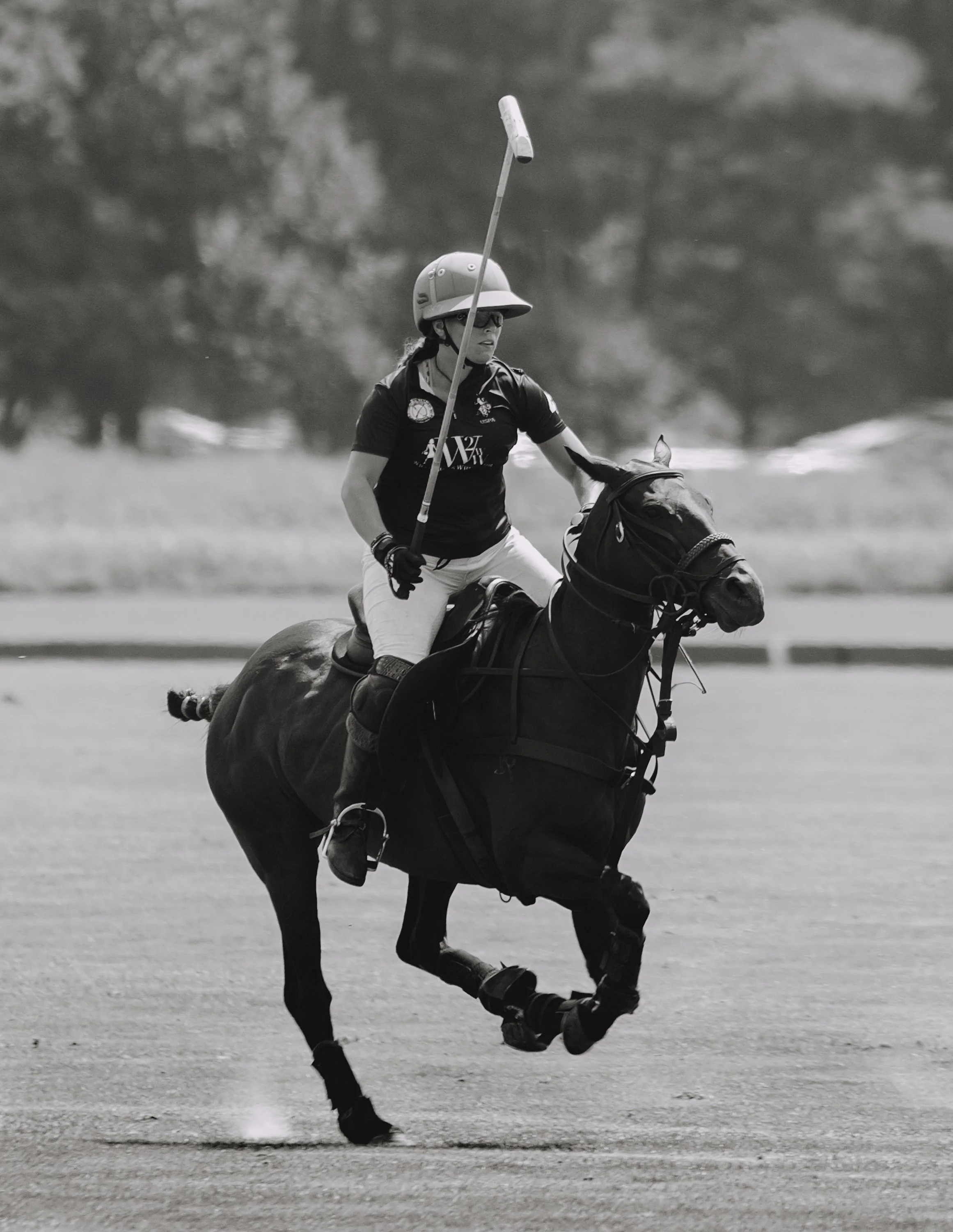 MASH POLO AUG 1-1000311.jpg