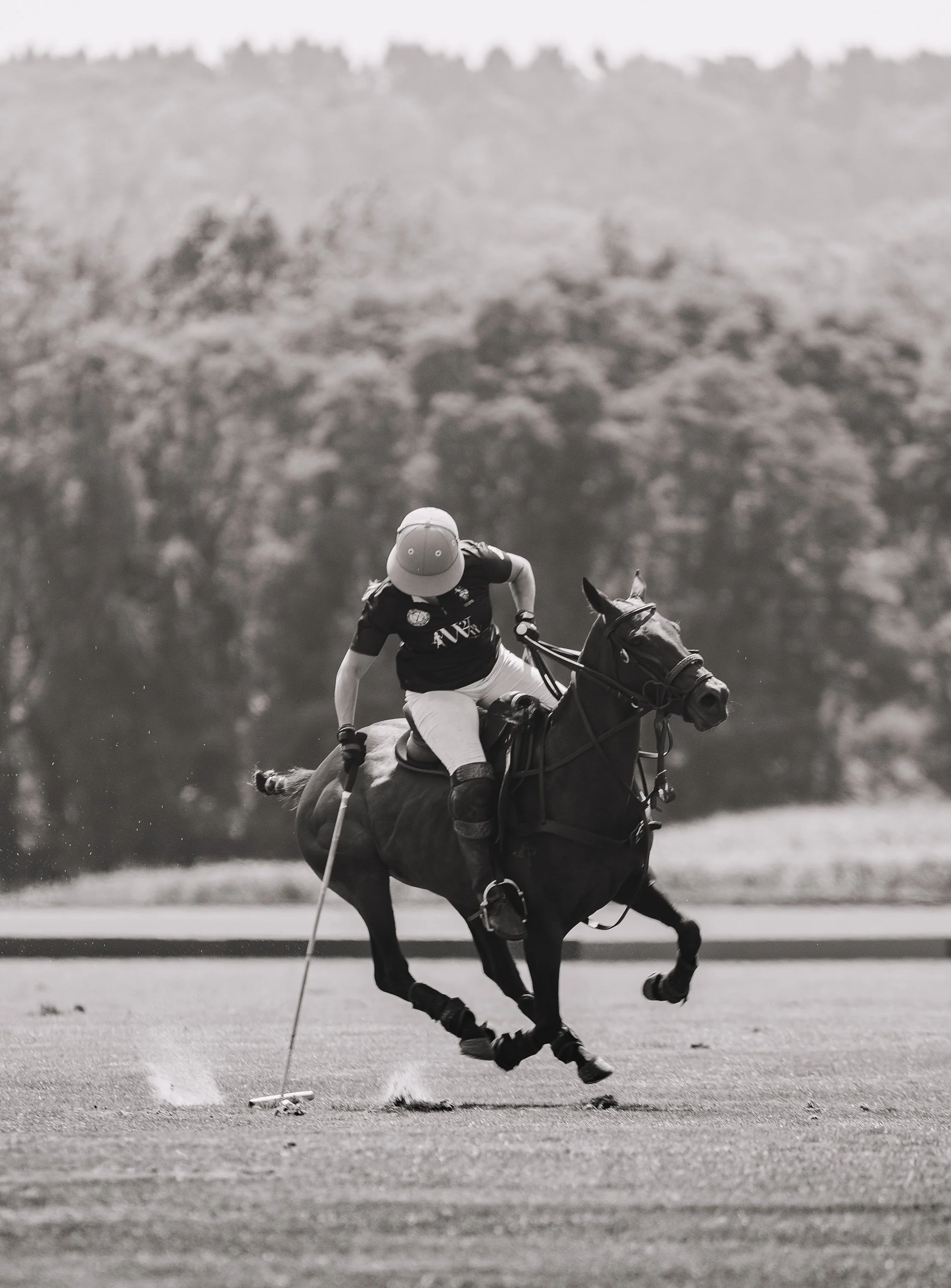 MASH POLO AUG 1-1000360.jpg