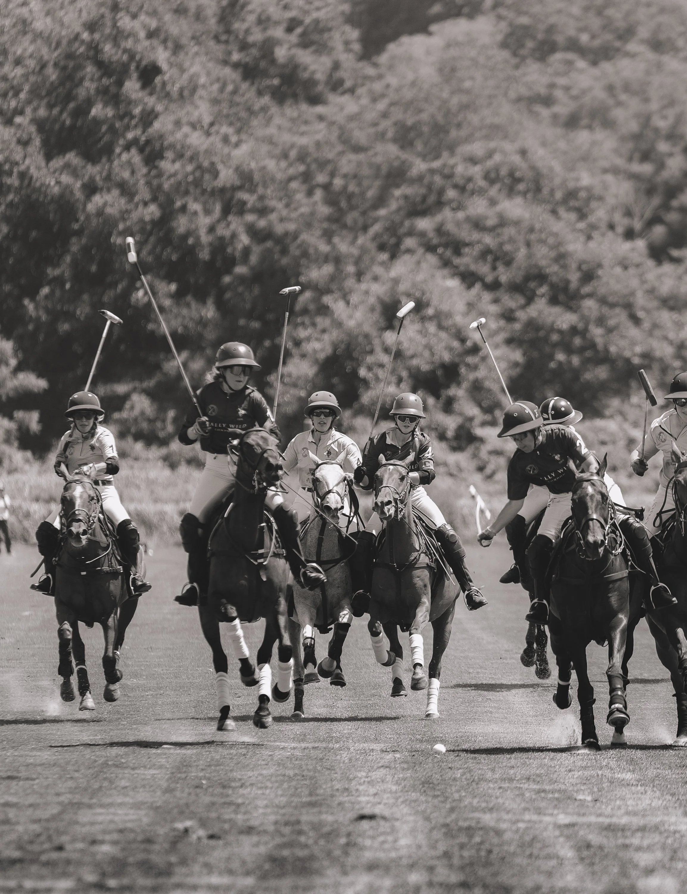 MASH POLO AUG 1-1000733.jpg