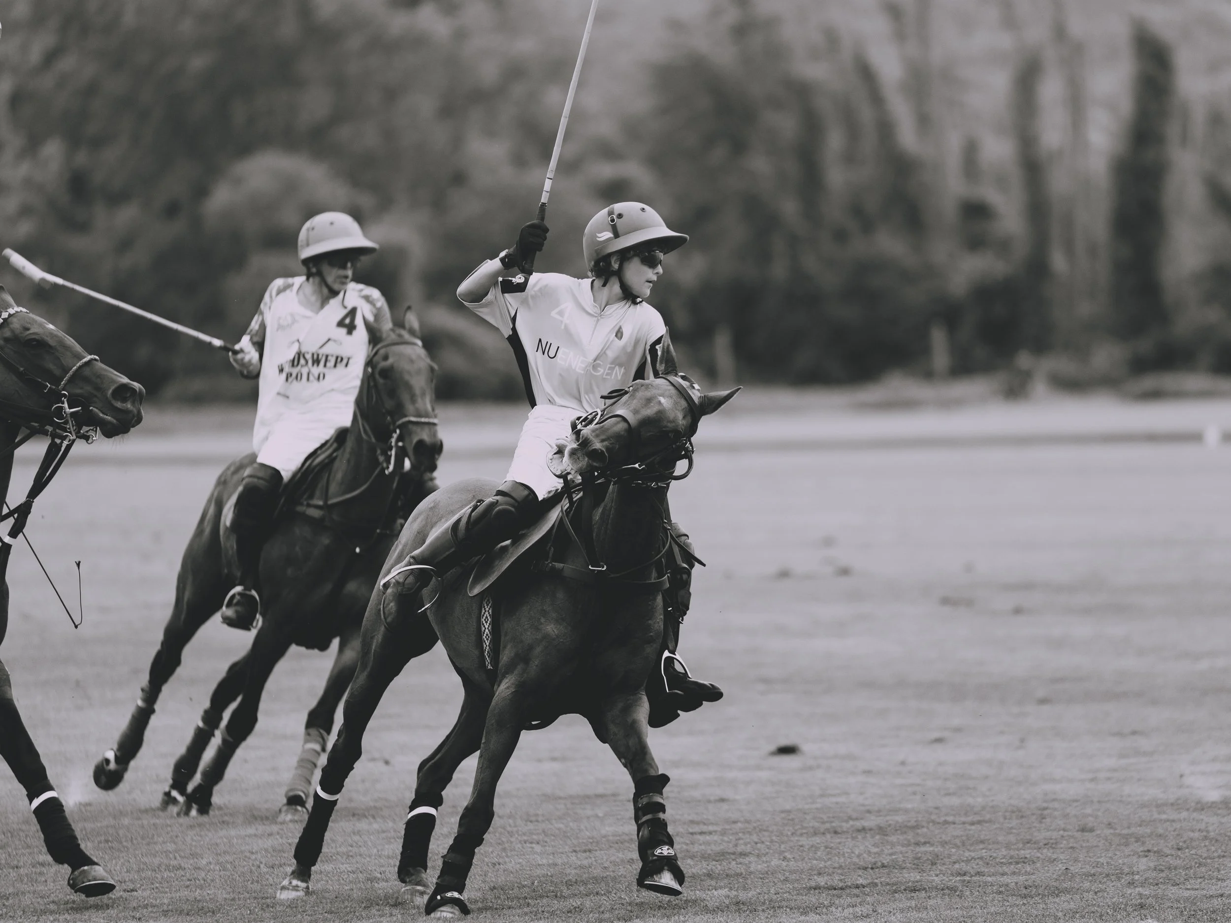 MASH POLO AUG 2-1010282.jpg