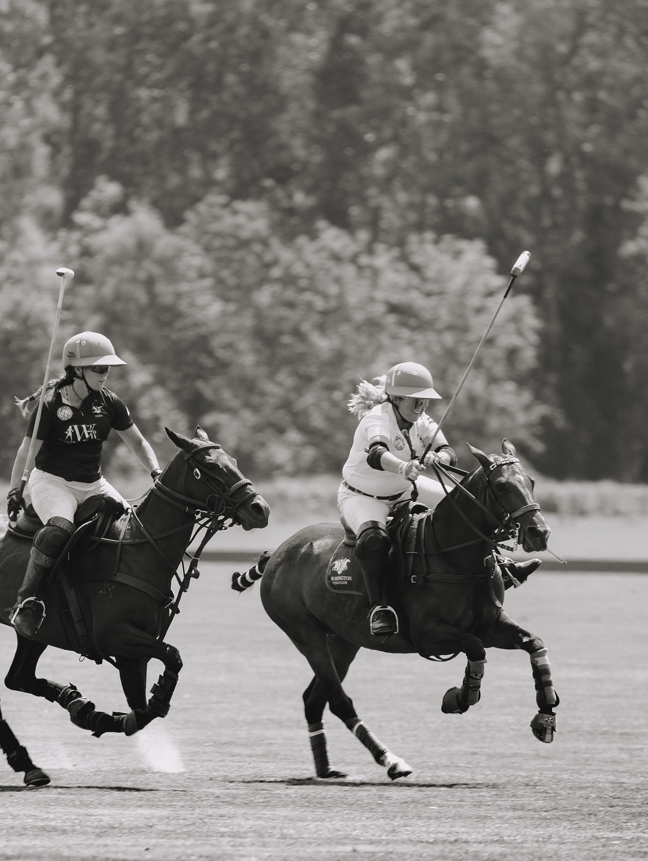 MASH POLO AUG 1-1000319.jpg