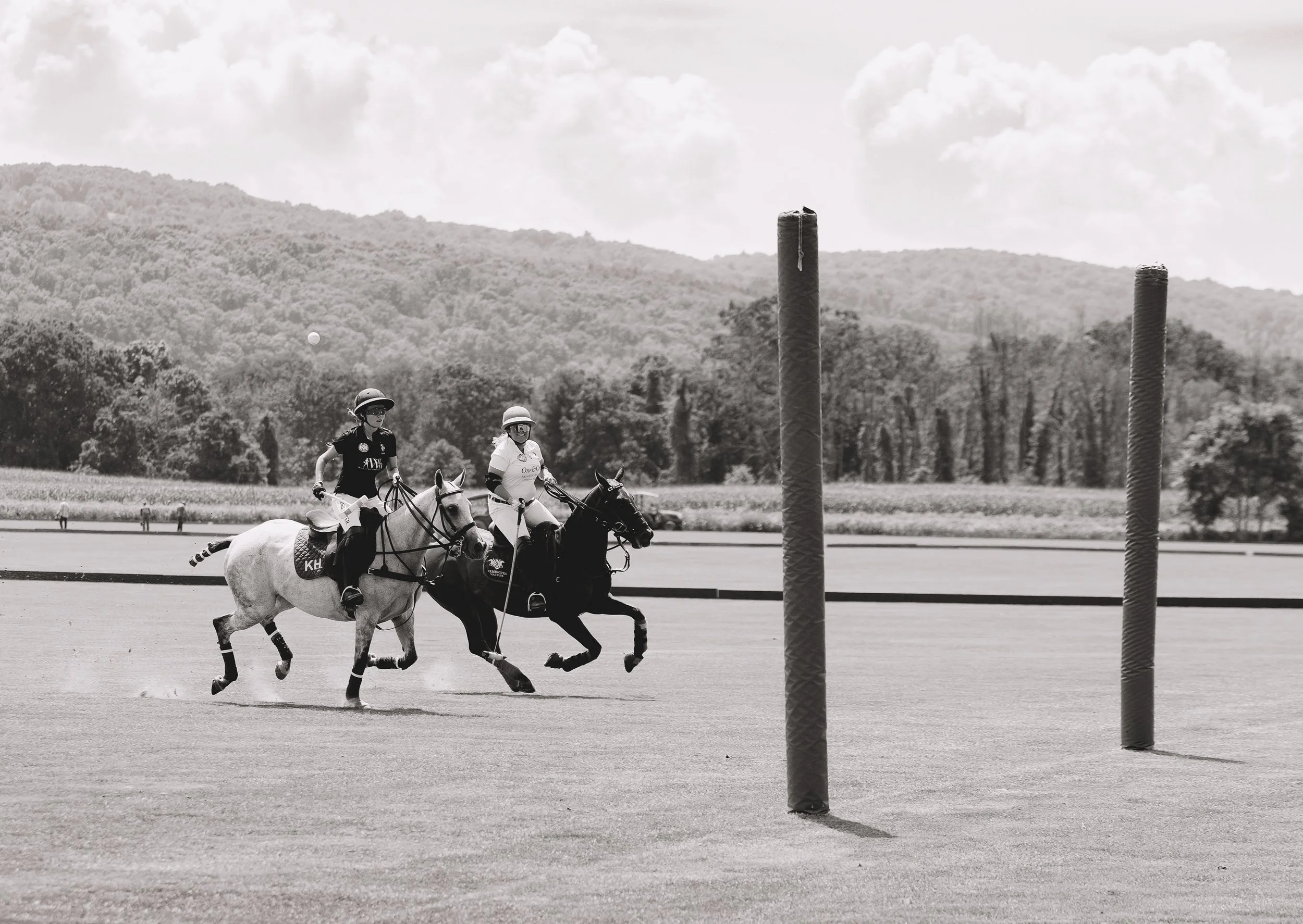 MASH POLO AUG 1-1000558.jpg