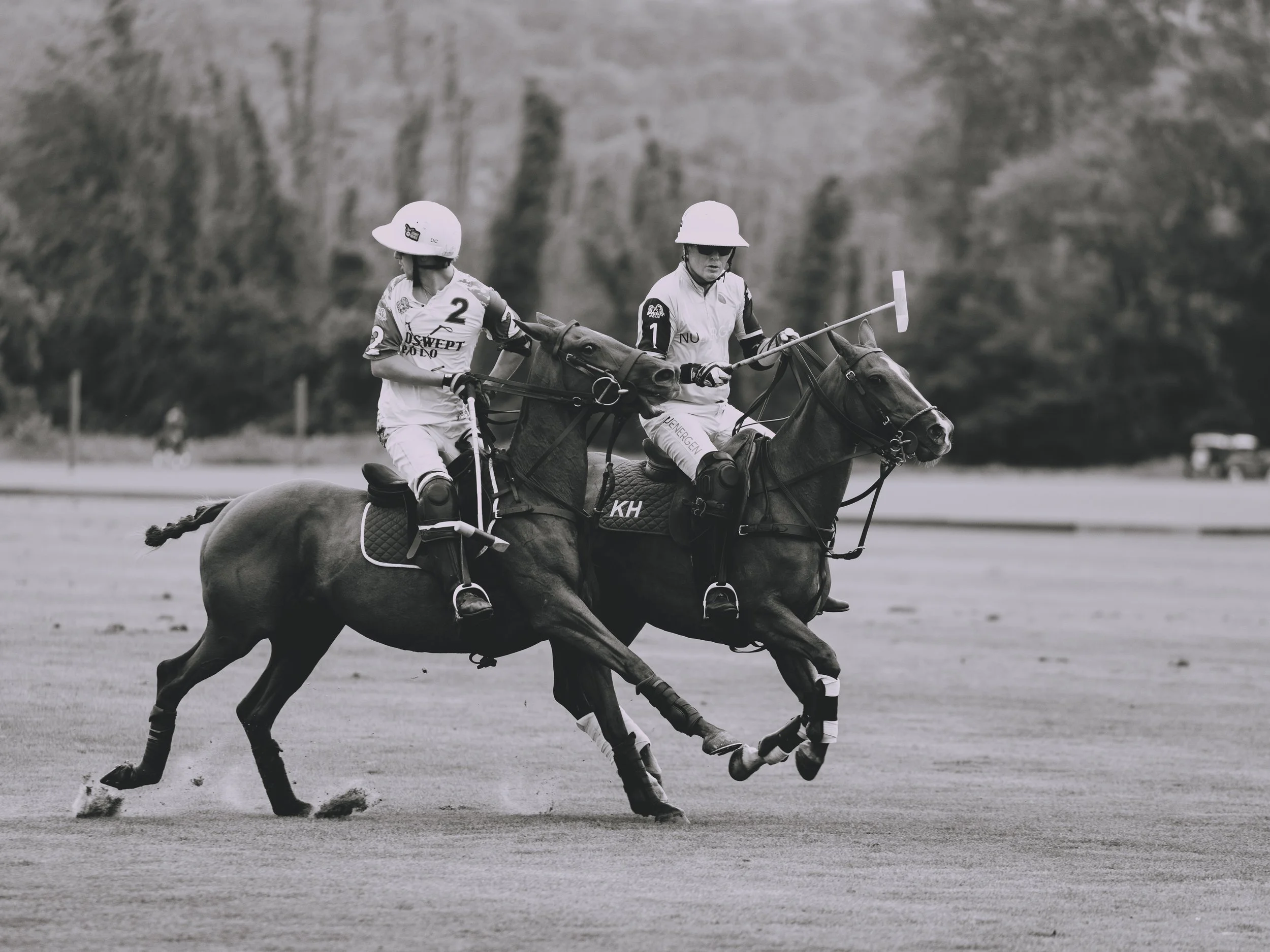 MASH POLO AUG 2-1010280.jpg