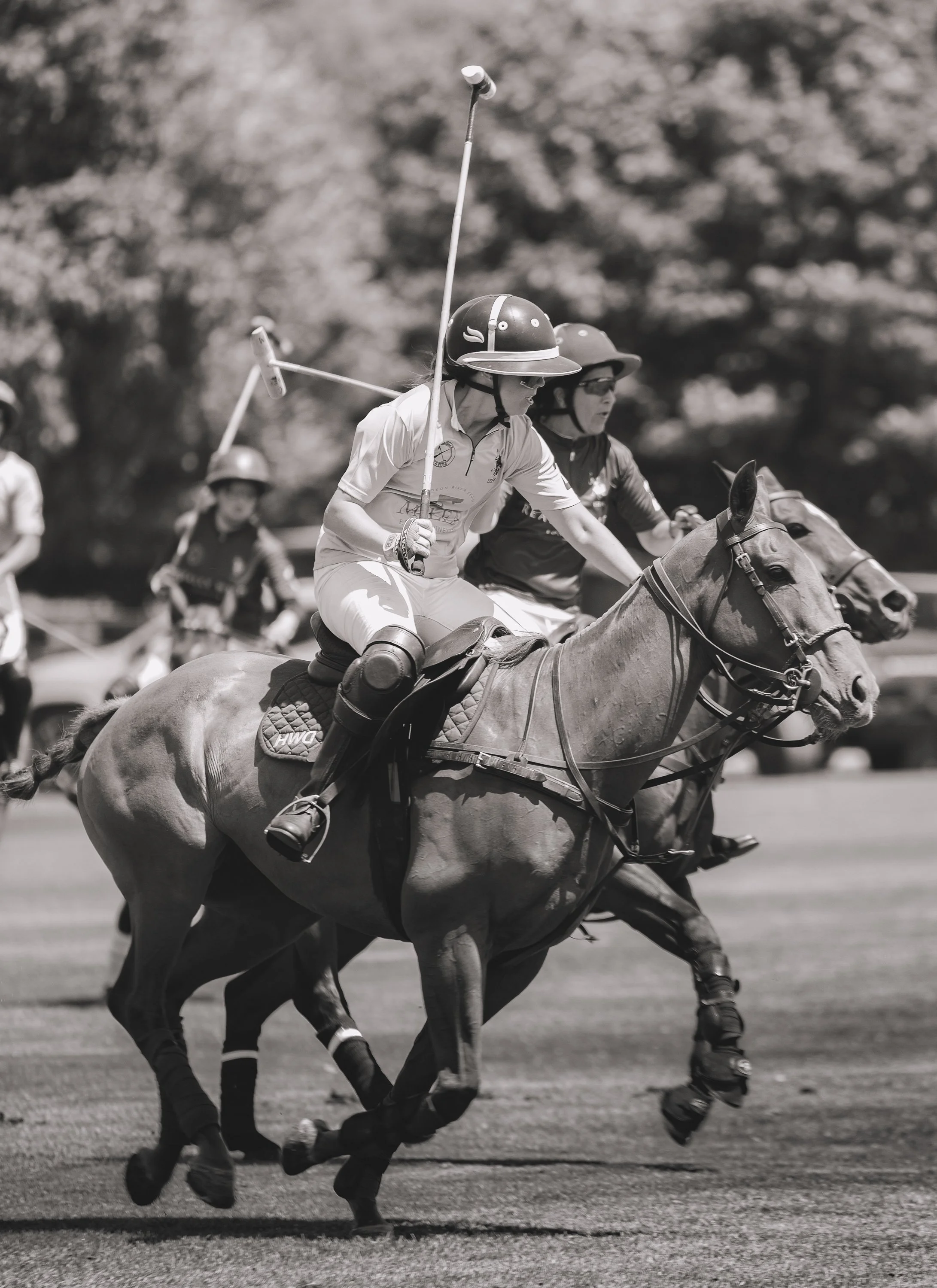 MASH POLO AUG 1-1000805.jpg