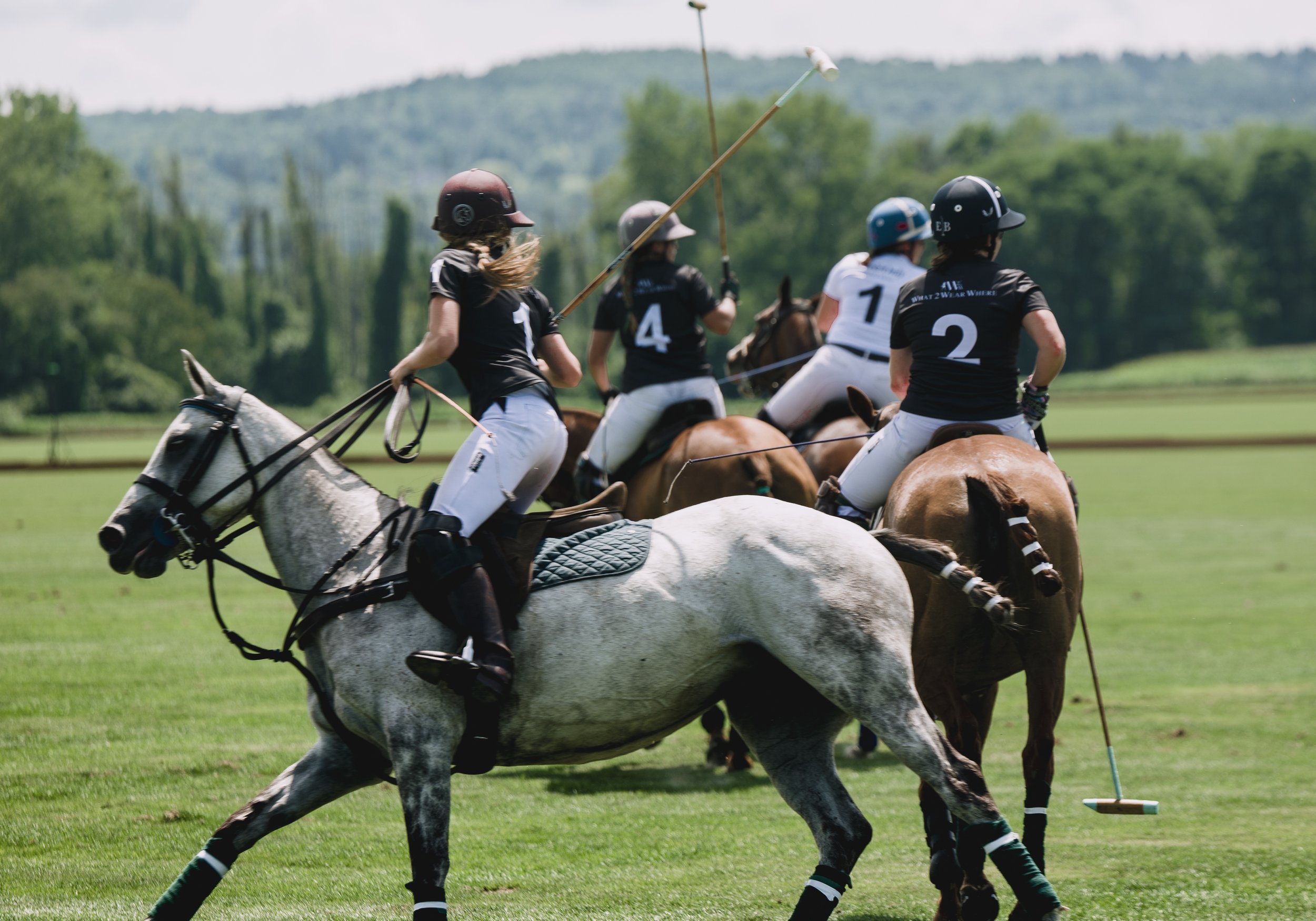 MASH POLO AUG 1-1000582.jpg
