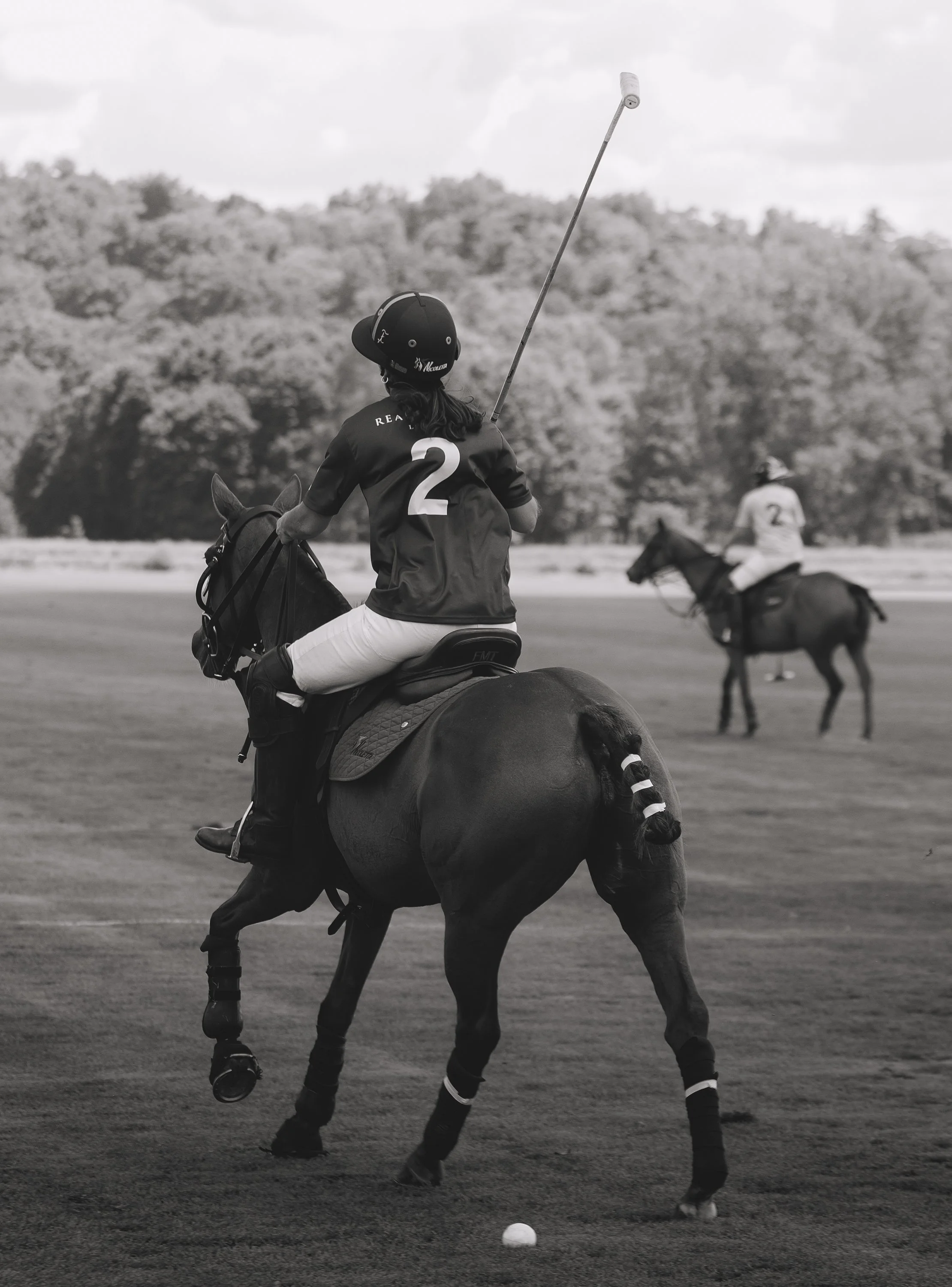 MASH POLO AUG 1-1000879.jpg