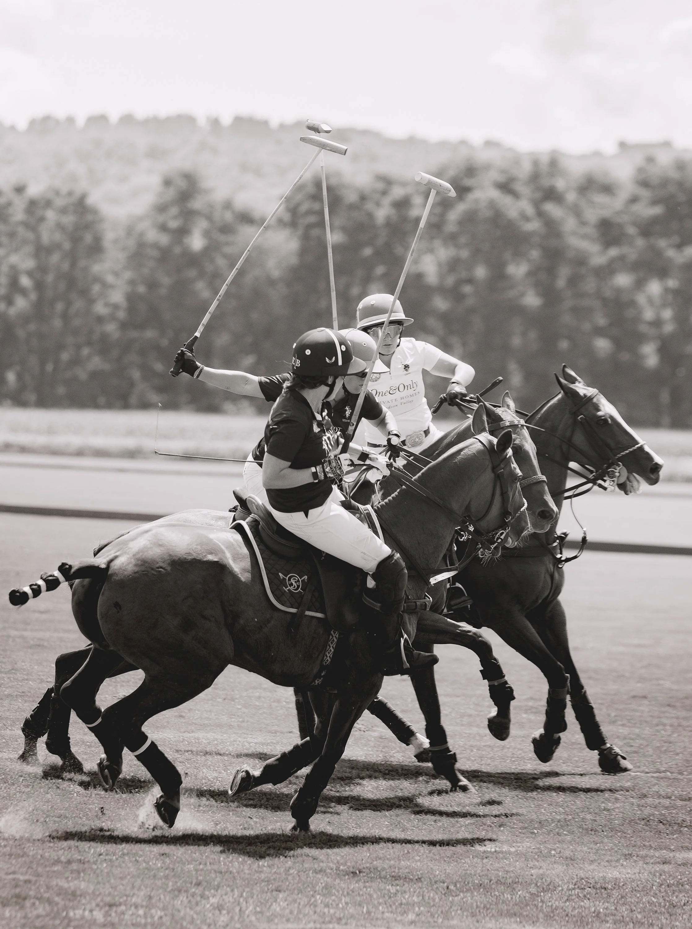 MASH POLO AUG 1-1000584.jpg