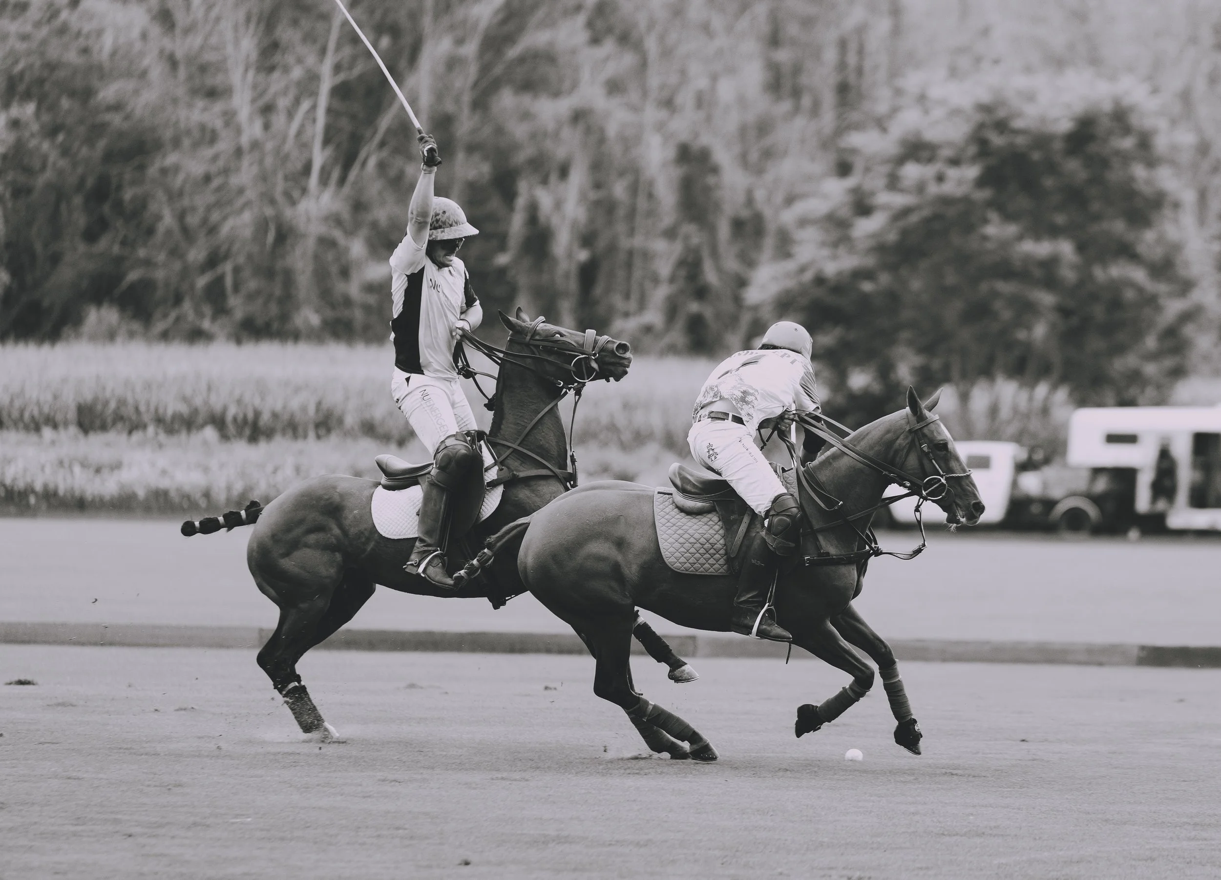 MASH POLO AUG 2-1010192.jpg