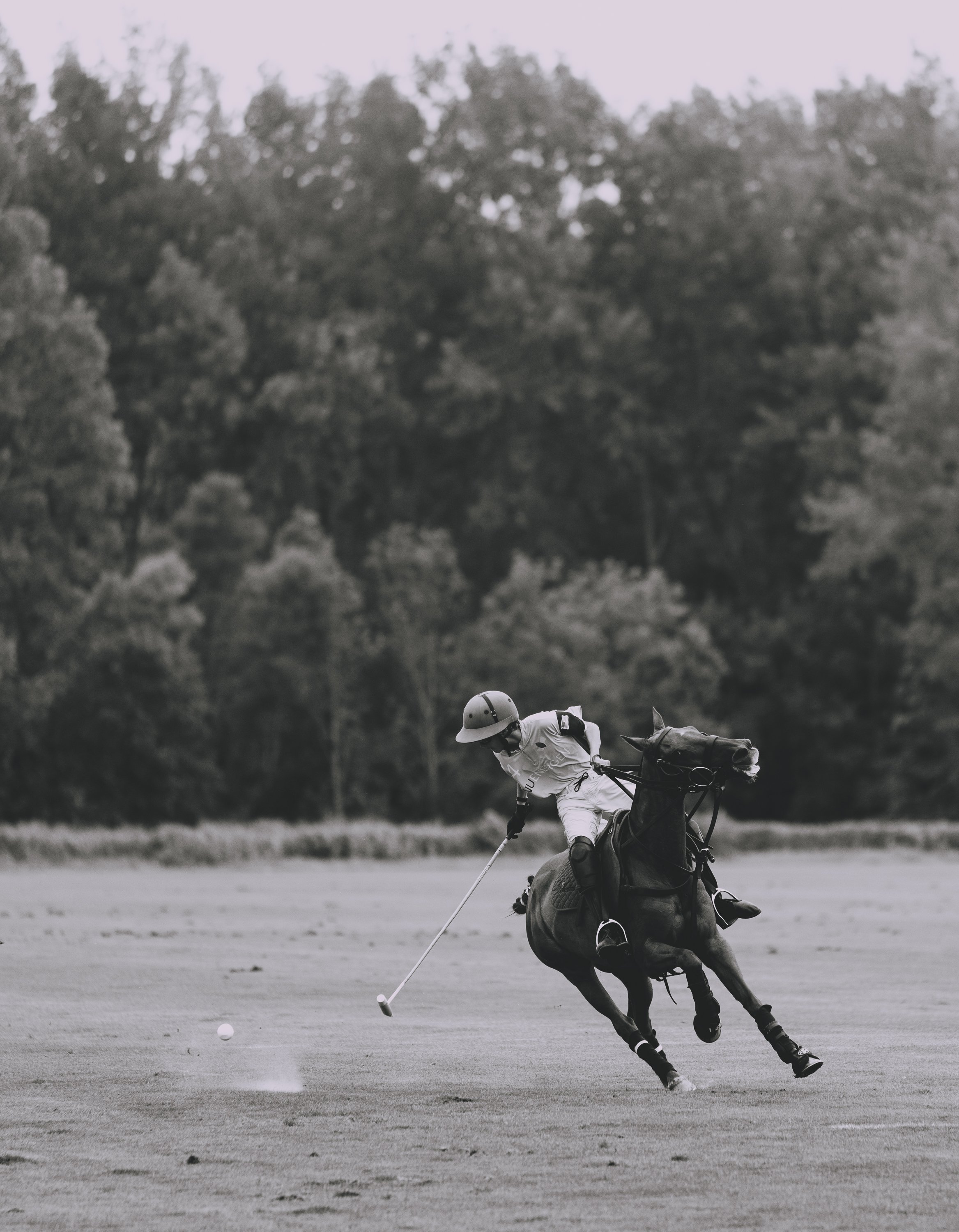 MASH POLO AUG 2-1010259.jpg