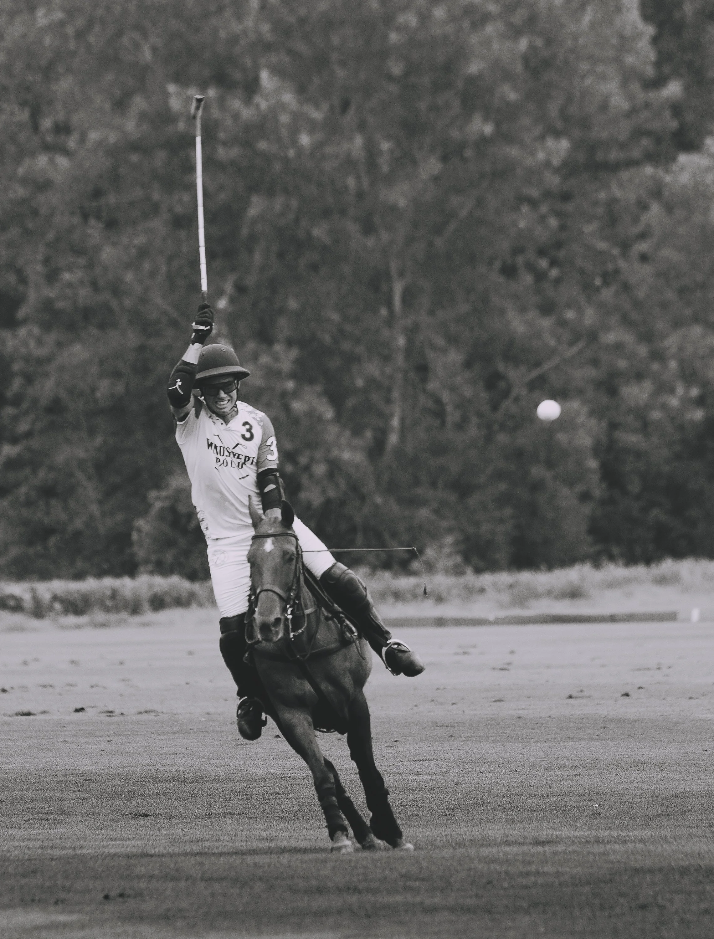 MASH POLO AUG 2-1010118.jpg