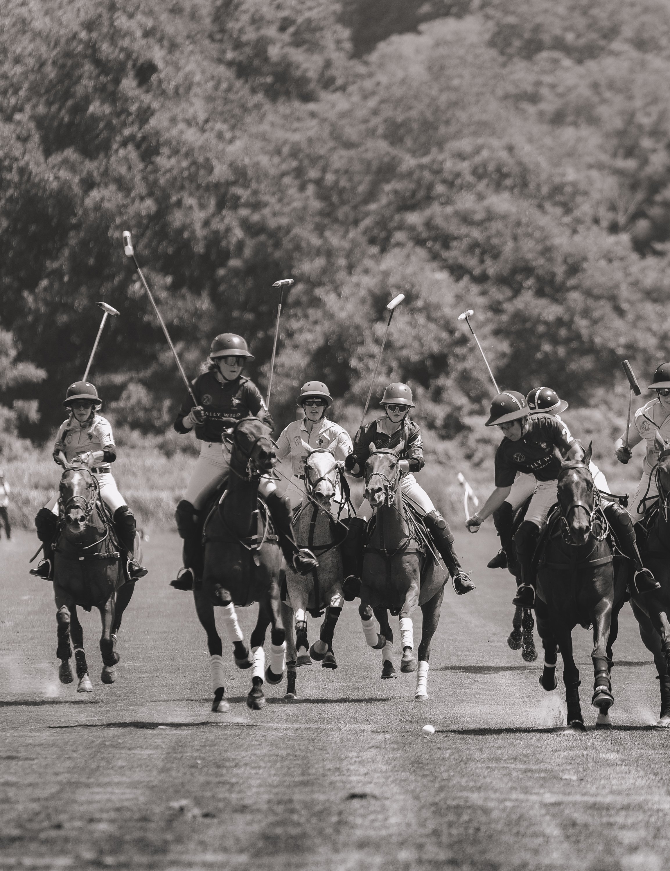 MASH POLO AUG 1-1000733.jpg